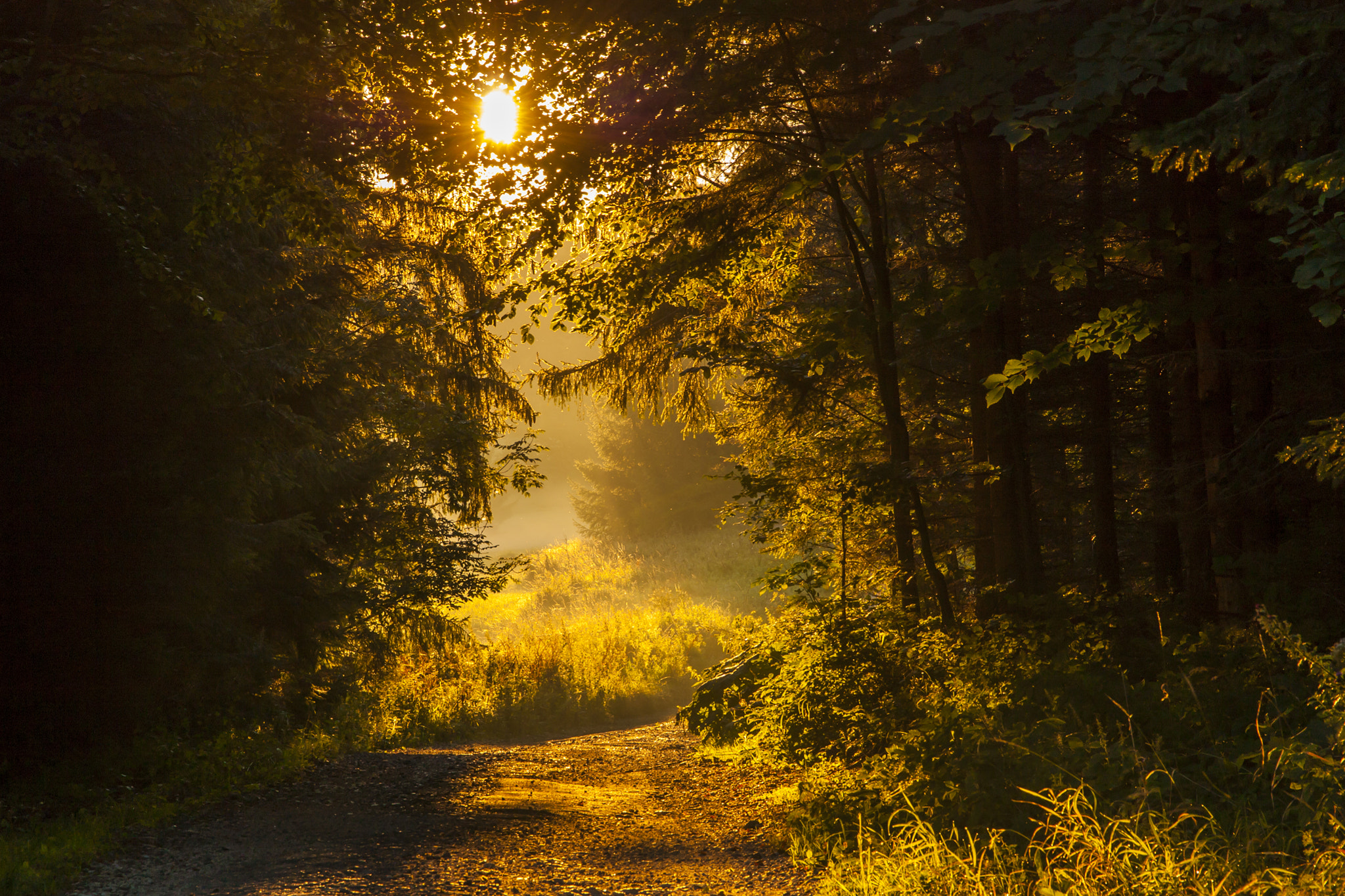 Sigma 17-70mm F2.8-4 DC Macro OS HSM sample photo. Dawn tunnel photography