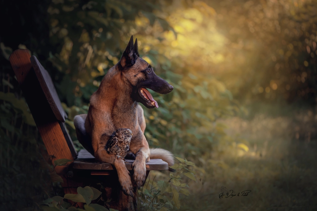 See your dreams by Tanja Brandt on 500px.com