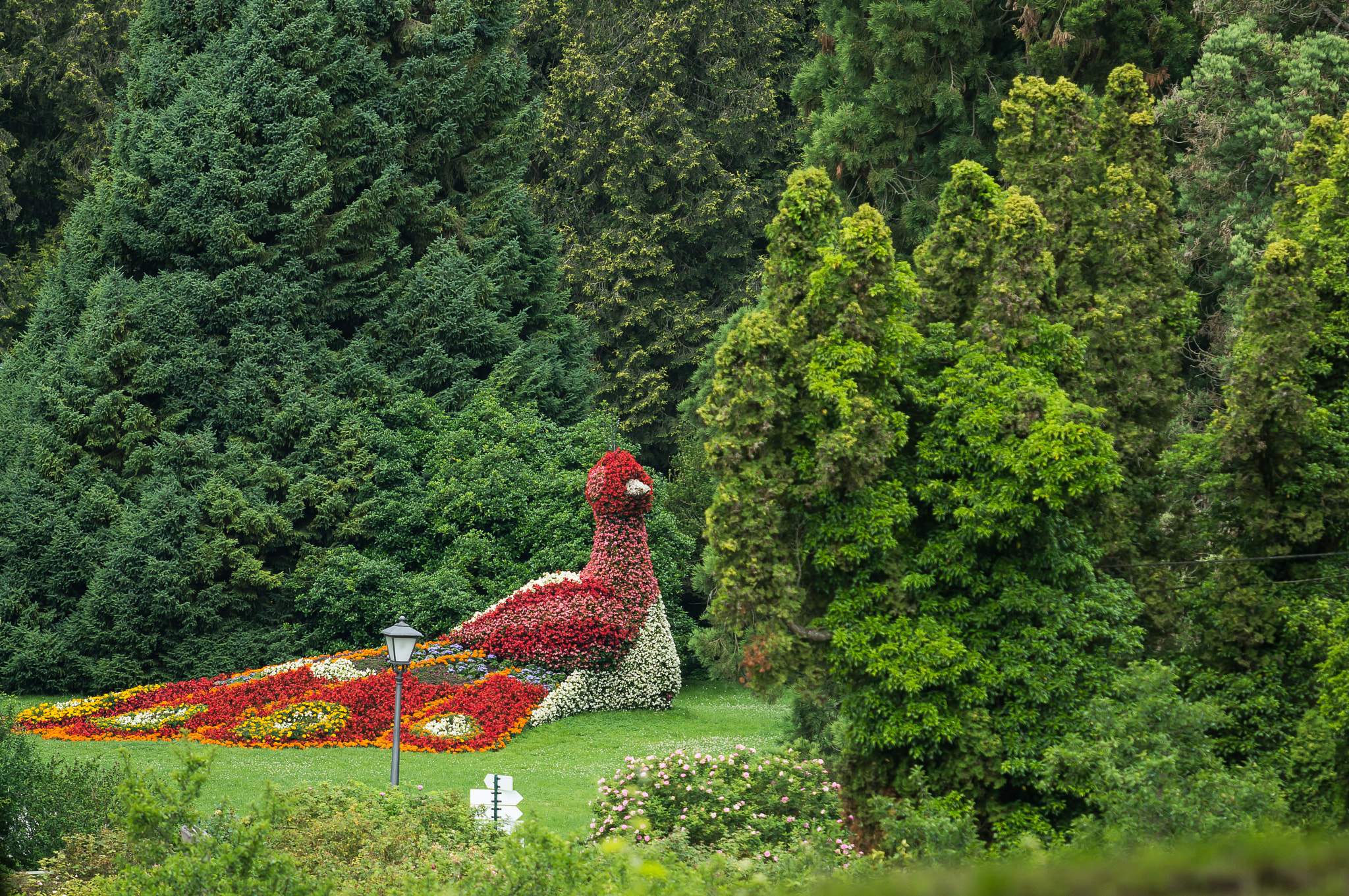 Tamron 18-270mm F3.5-6.3 Di II PZD sample photo. Flowerbird photography
