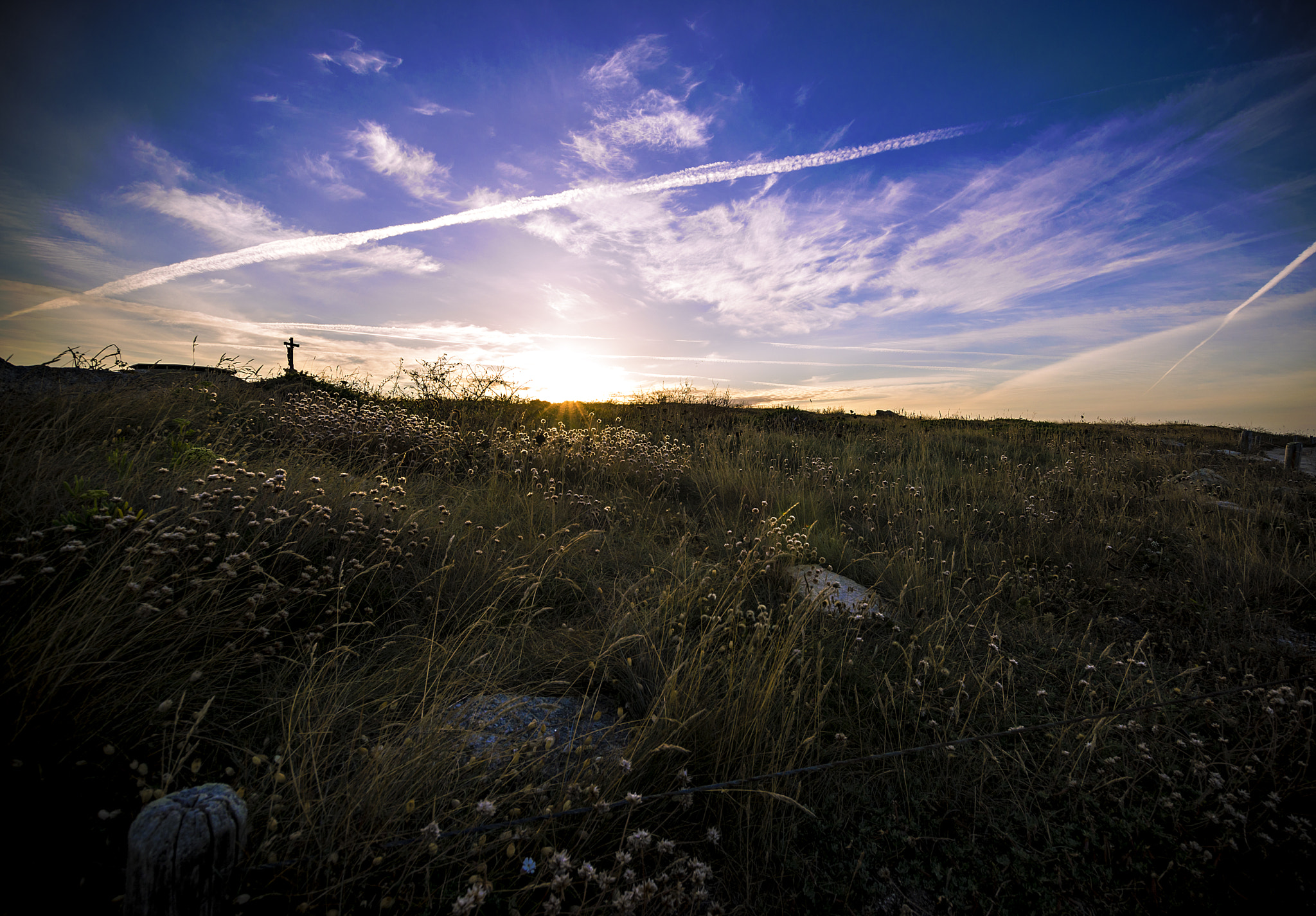 Sigma 10-20mm F3.5 EX DC HSM sample photo. Sun is up photography