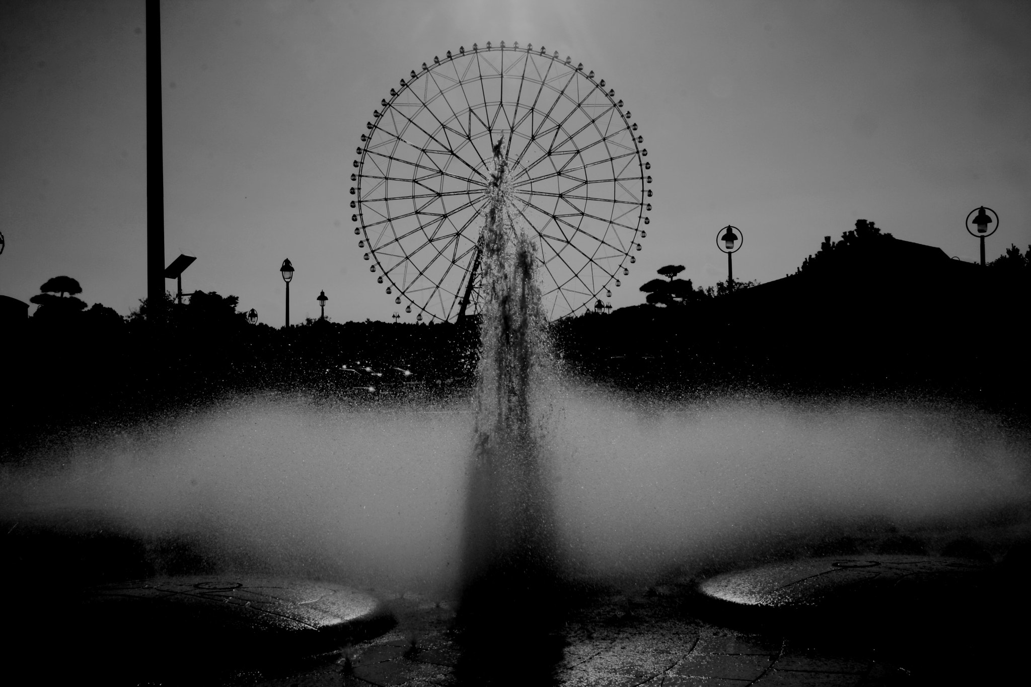 Canon EOS 40D sample photo. Fountain - ferris wheel photography