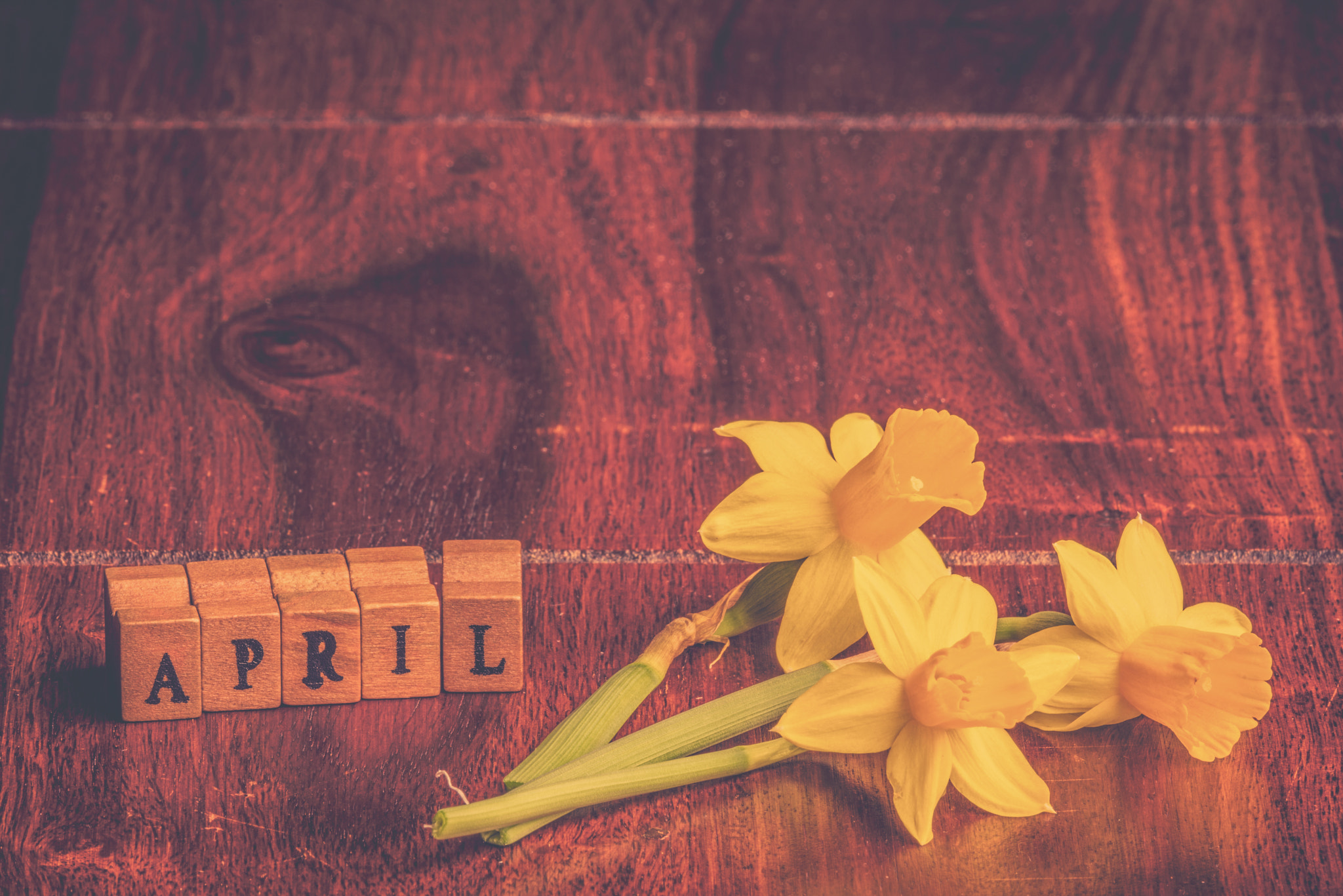 Sony 70-400mm F4-5.6 G SSM II sample photo. Daffodils in april on wooden table photography