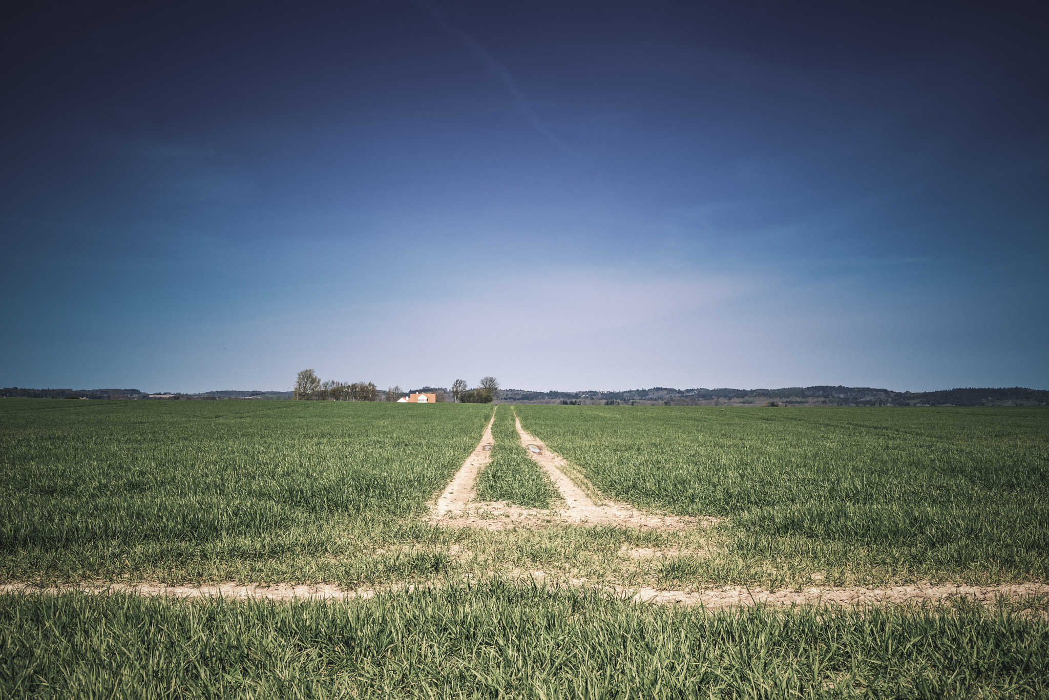 Sony a7R + Sony 50mm F1.4 sample photo. Countryside field with tire tracks photography