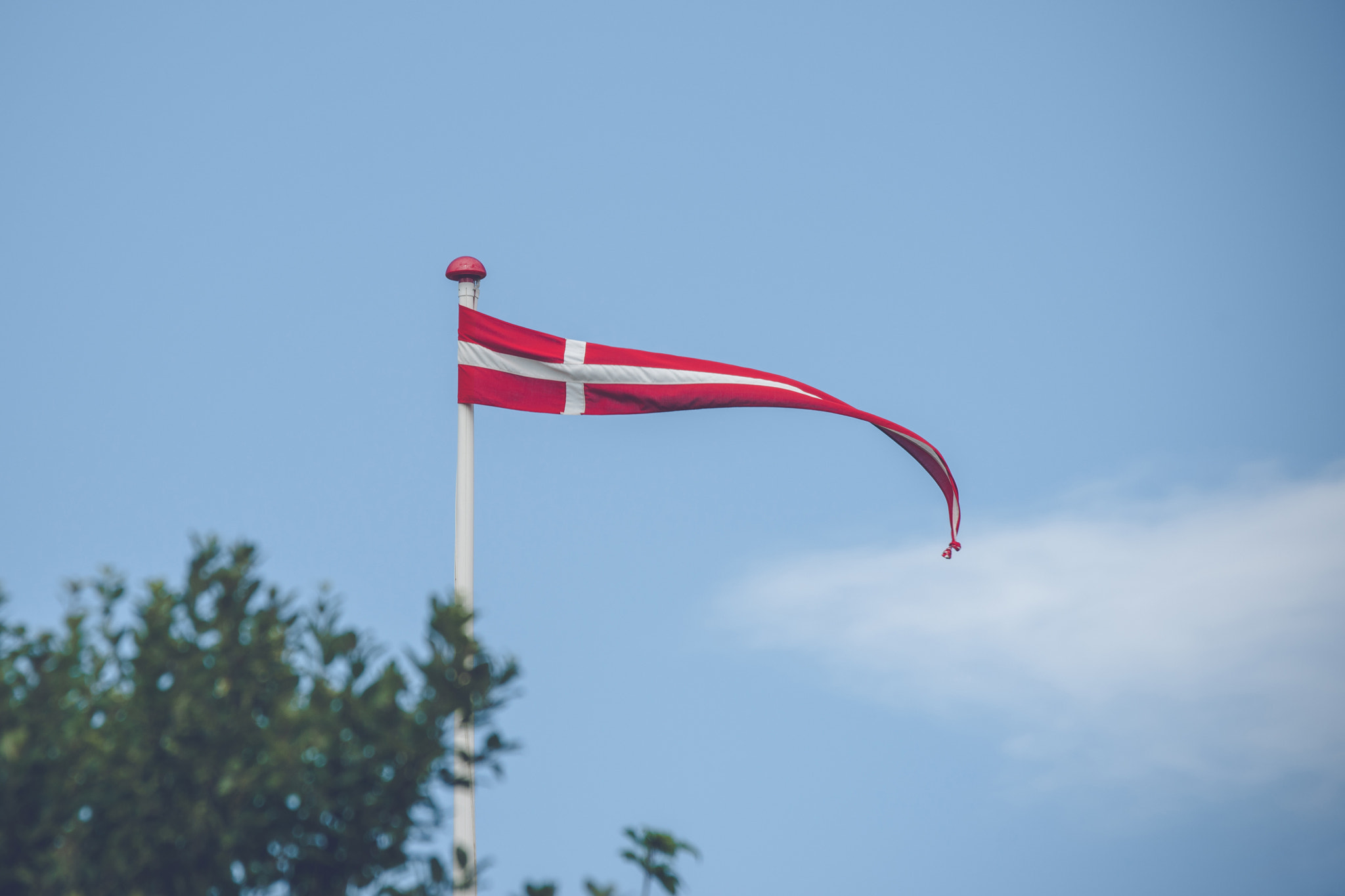 Sony 70-400mm F4-5.6 G SSM II sample photo. Danish pennant in the wind photography