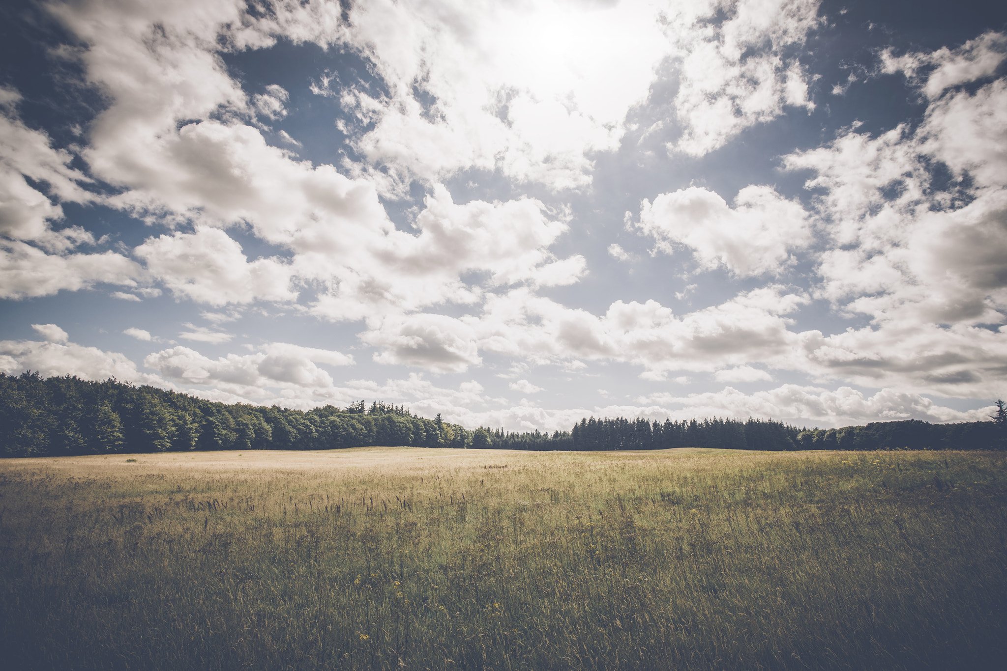 Sony Alpha DSLR-A900 + Sony Vario-Sonnar T* 16-35mm F2.8 ZA SSM sample photo. Cloudy weather over a meadow photography