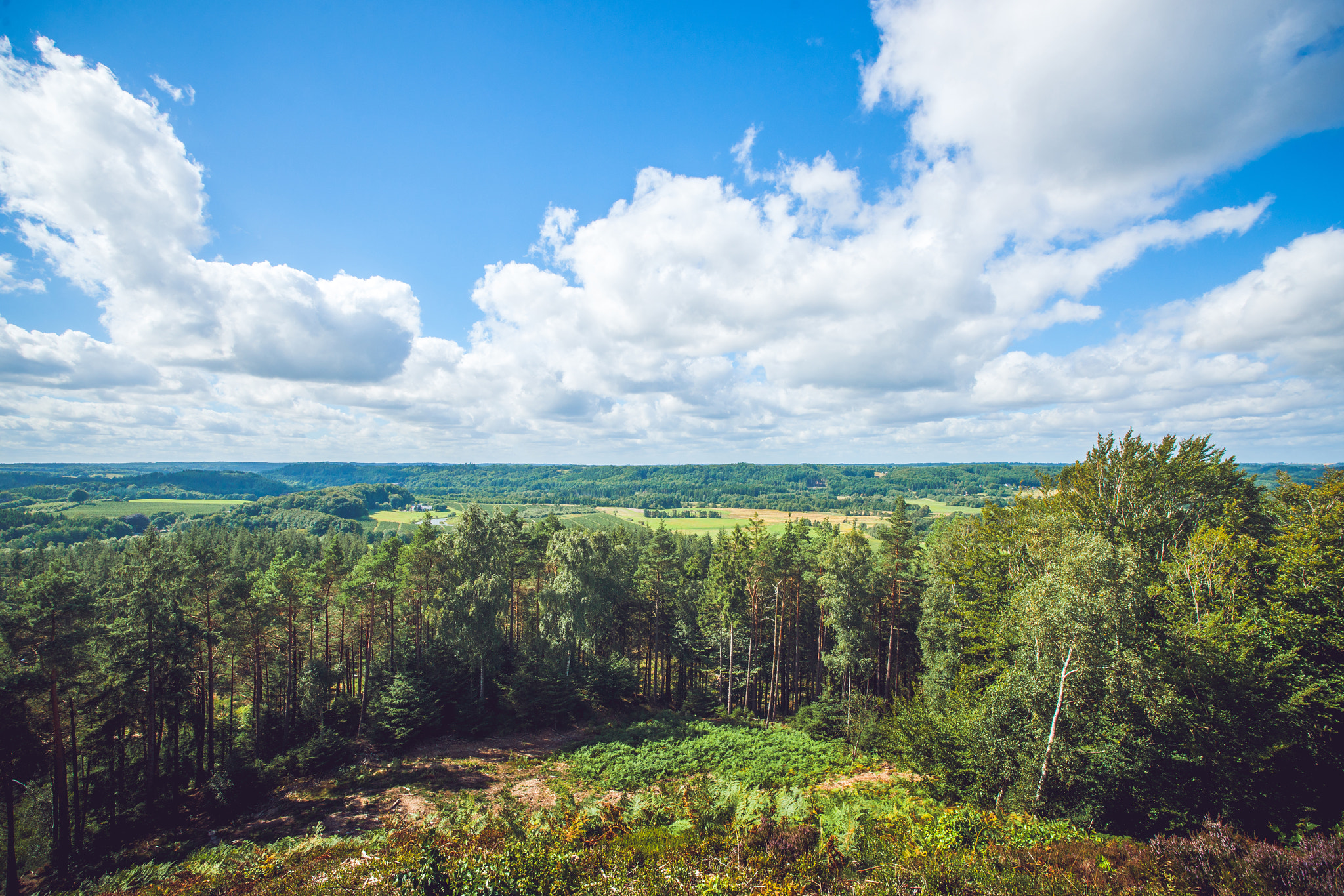 Sony Alpha DSLR-A900 + Sony Vario-Sonnar T* 16-35mm F2.8 ZA SSM sample photo. Landscape view over trees photography