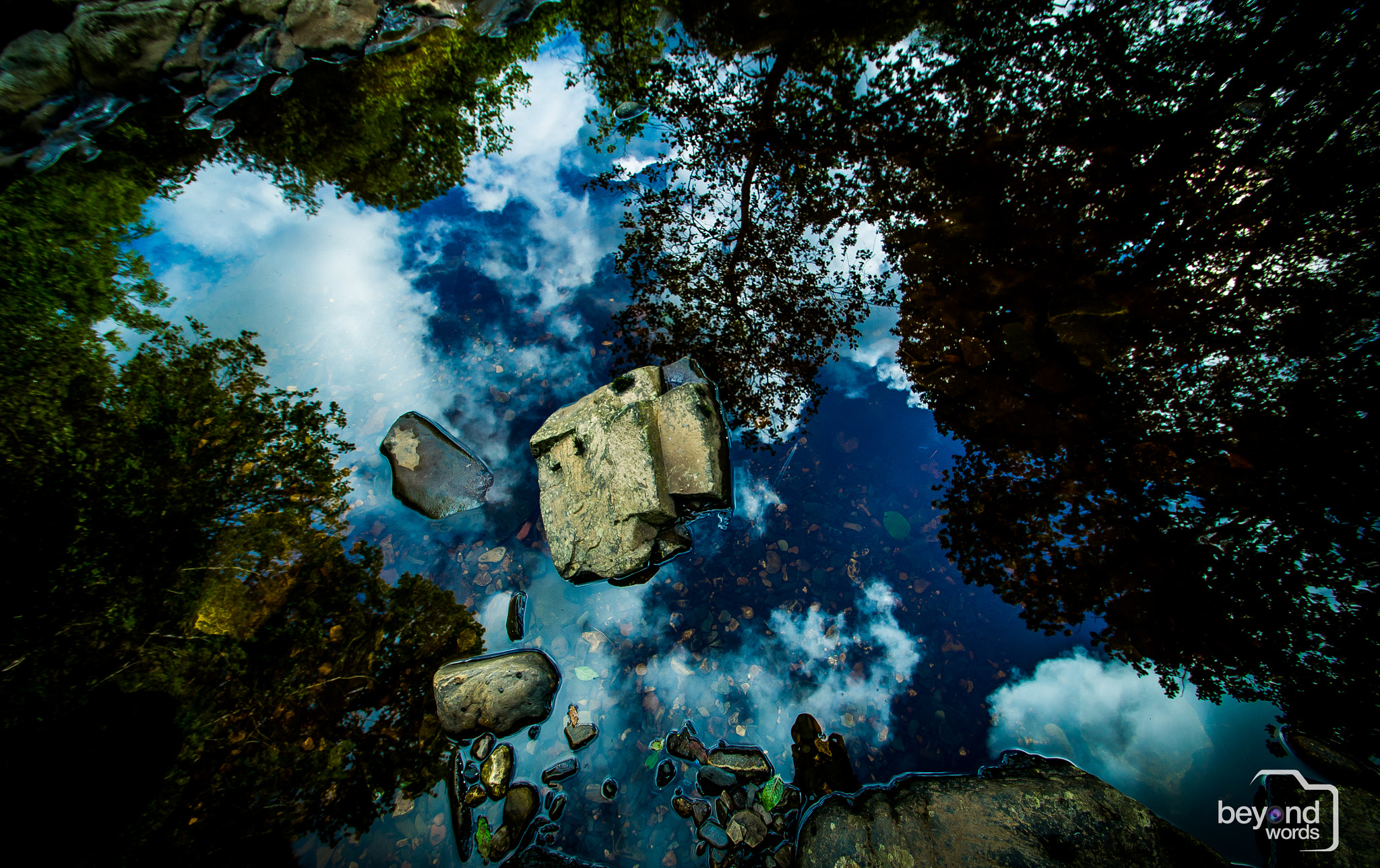 Sony SLT-A57 sample photo. Reflection photography