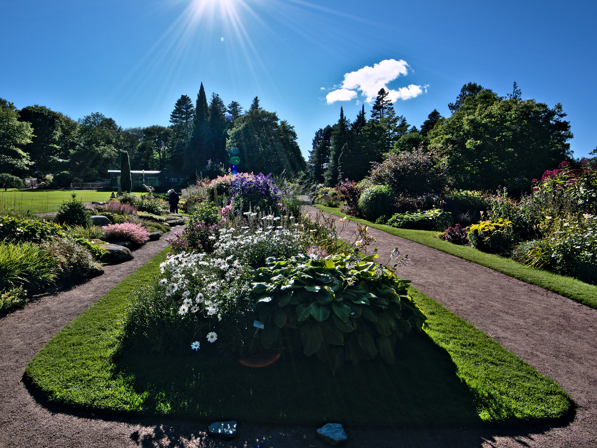 Sigma 8-16mm F4.5-5.6 DC HSM sample photo. Göteborgs botaniska trädgård #2 photography