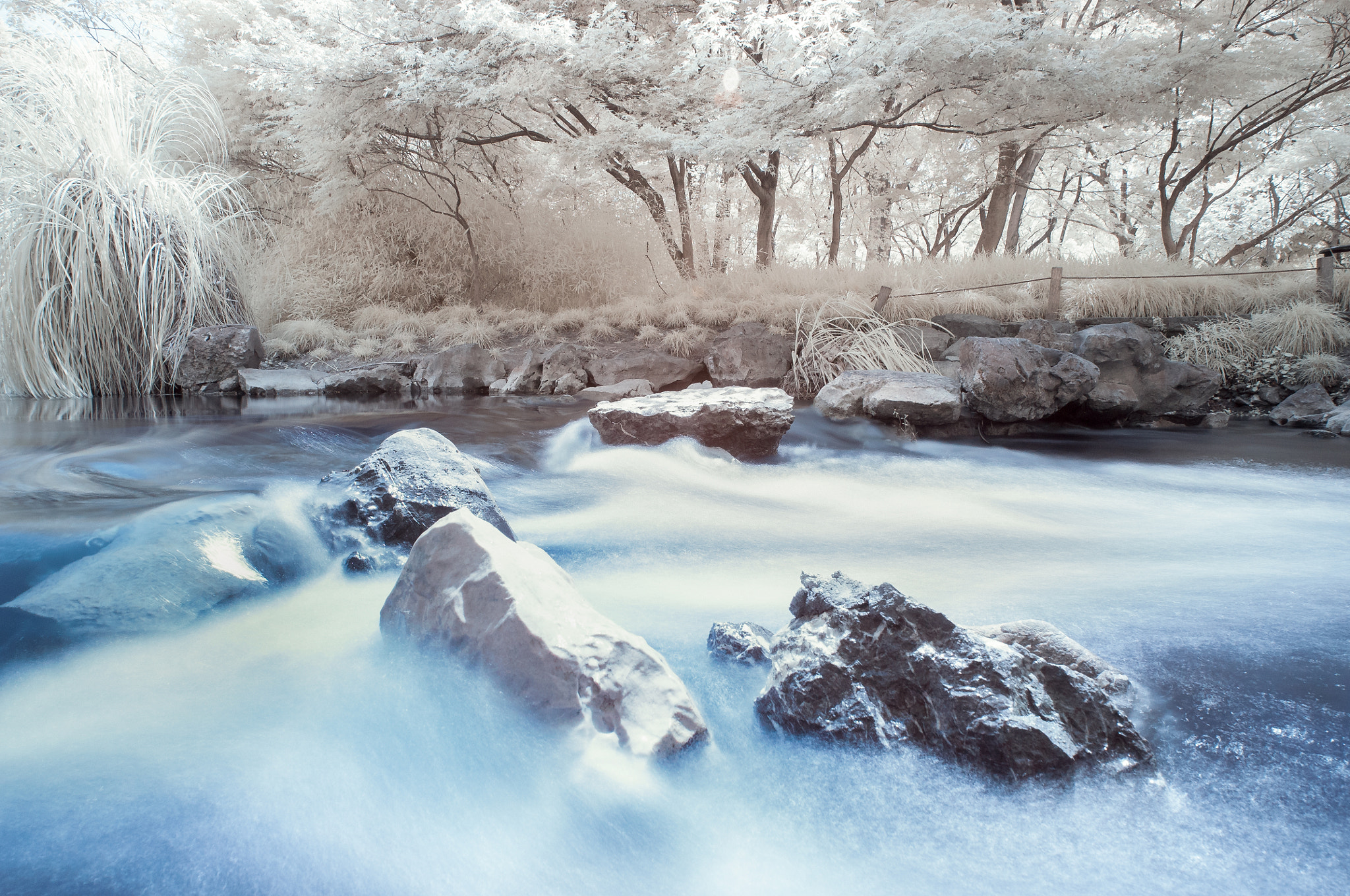 Nikon D300S sample photo