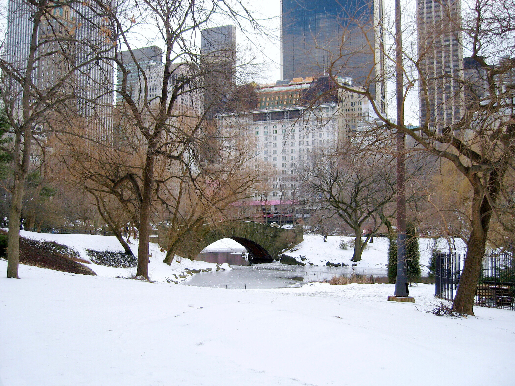 Canon POWERSHOT SD550 sample photo. Snow in central park, nyc photography