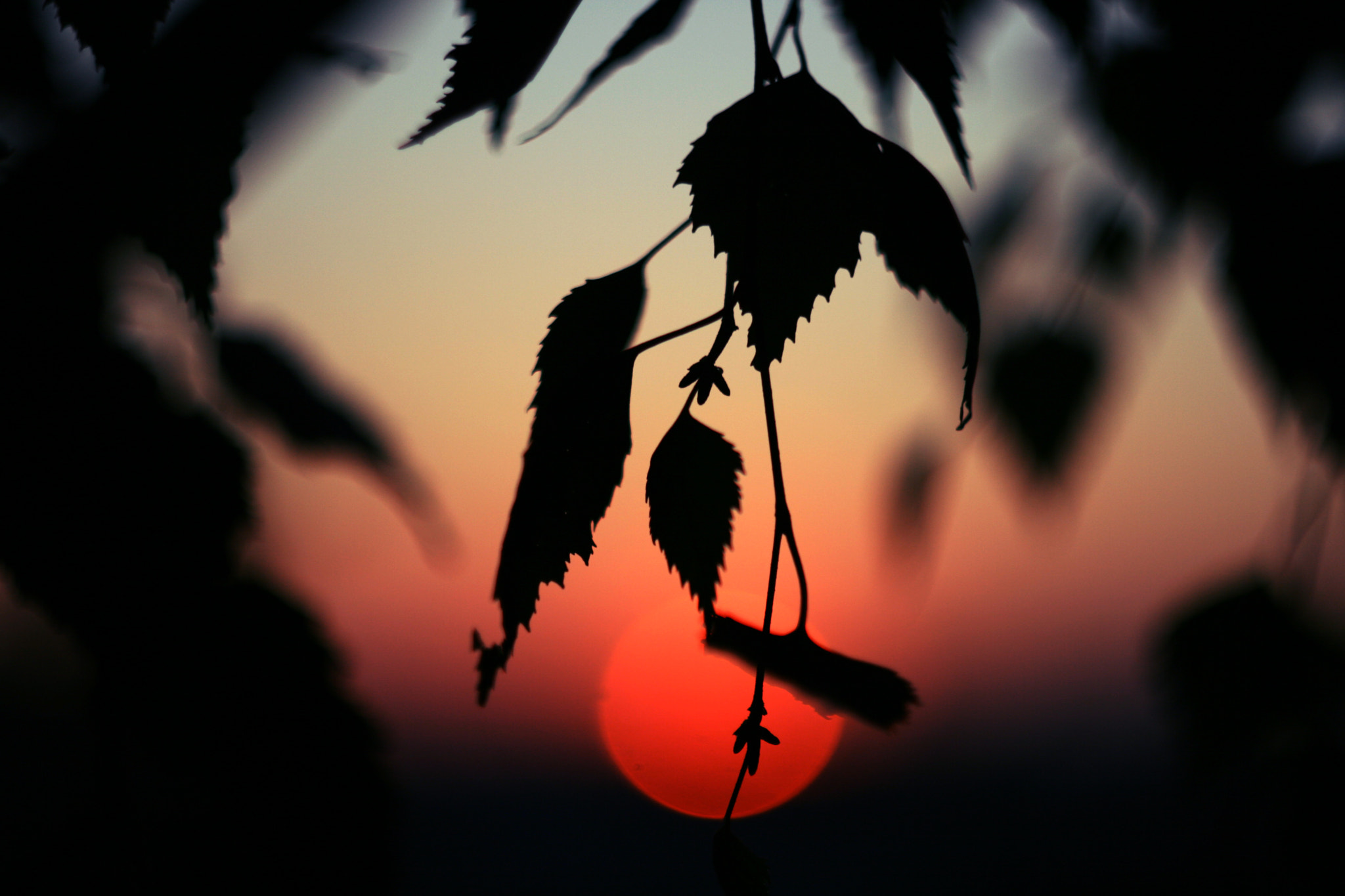 Canon EF 35-80mm f/4-5.6 sample photo. *** photography