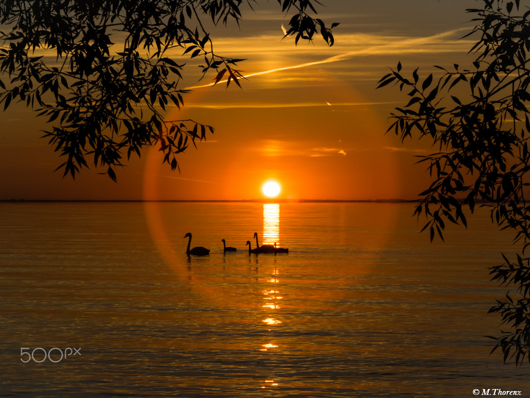 Tamron SP 24-70mm F2.8 Di VC USD sample photo. Sweet stettiner haff photography