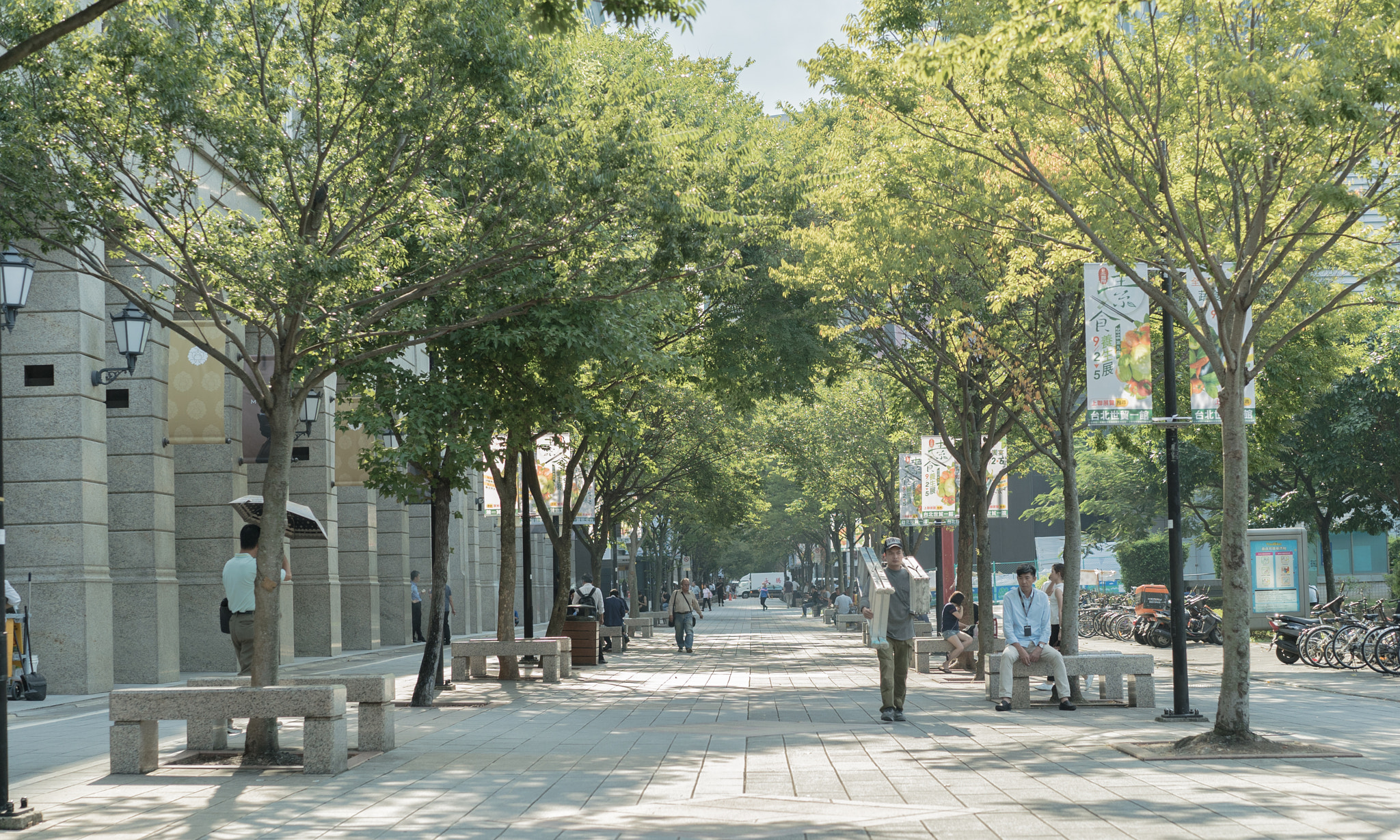Sony a7S II + Sony Sonnar T* FE 55mm F1.8 ZA sample photo. City life photography