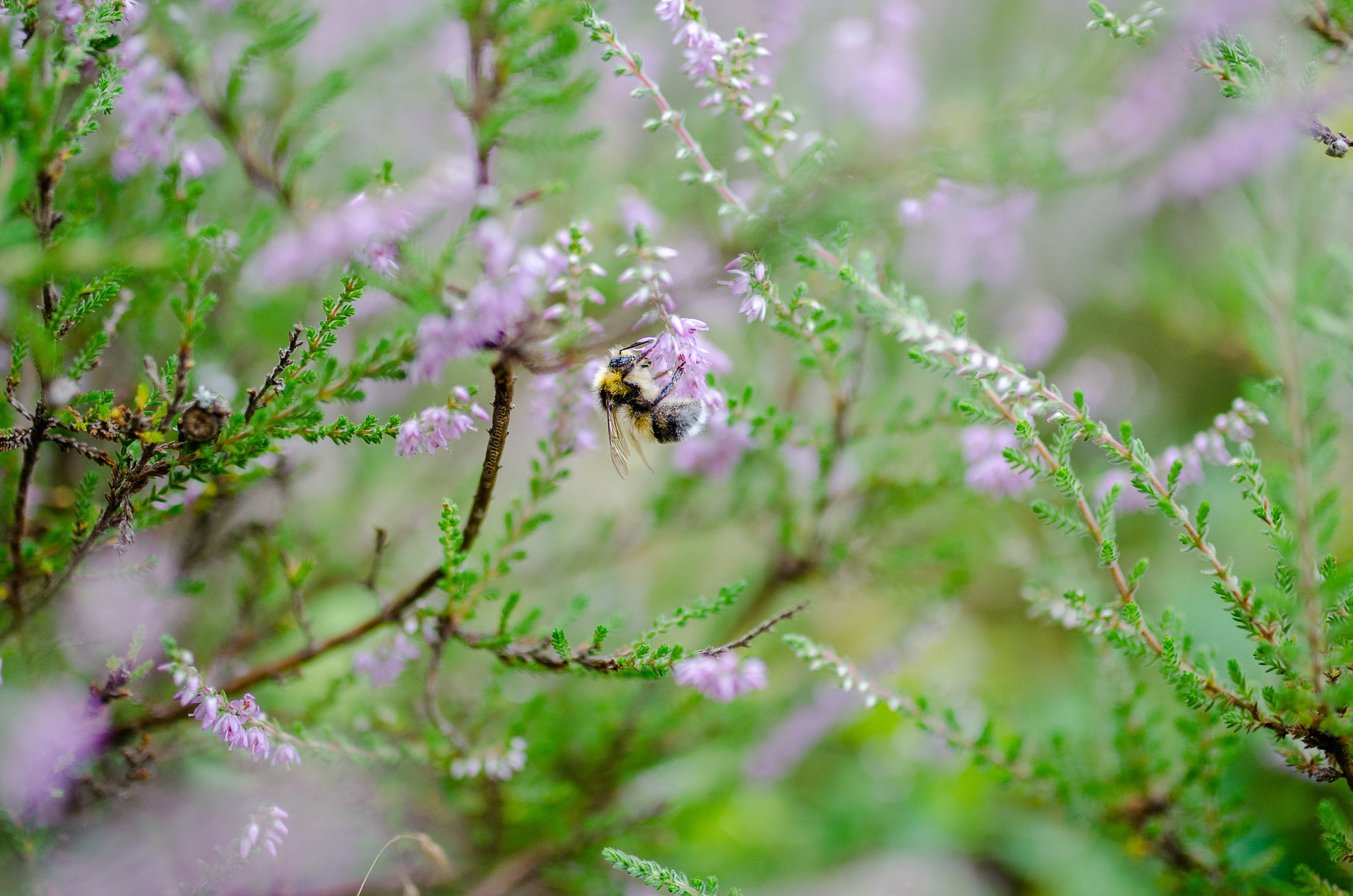 Nikon D7000 + Sigma 35mm F1.4 DG HSM Art sample photo. At work photography