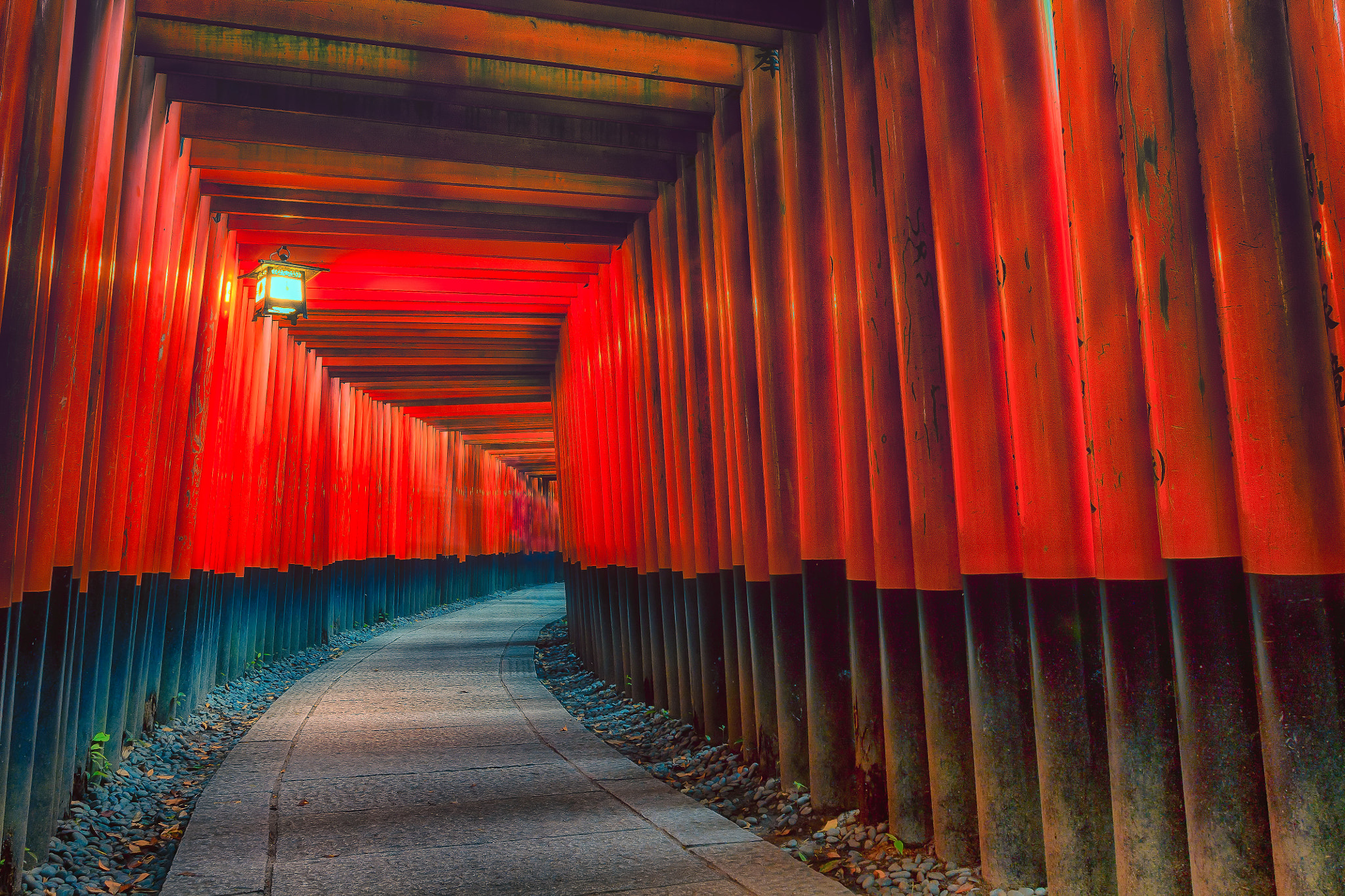 Canon EOS 450D (EOS Rebel XSi / EOS Kiss X2) sample photo. Fushimi inari gates photography
