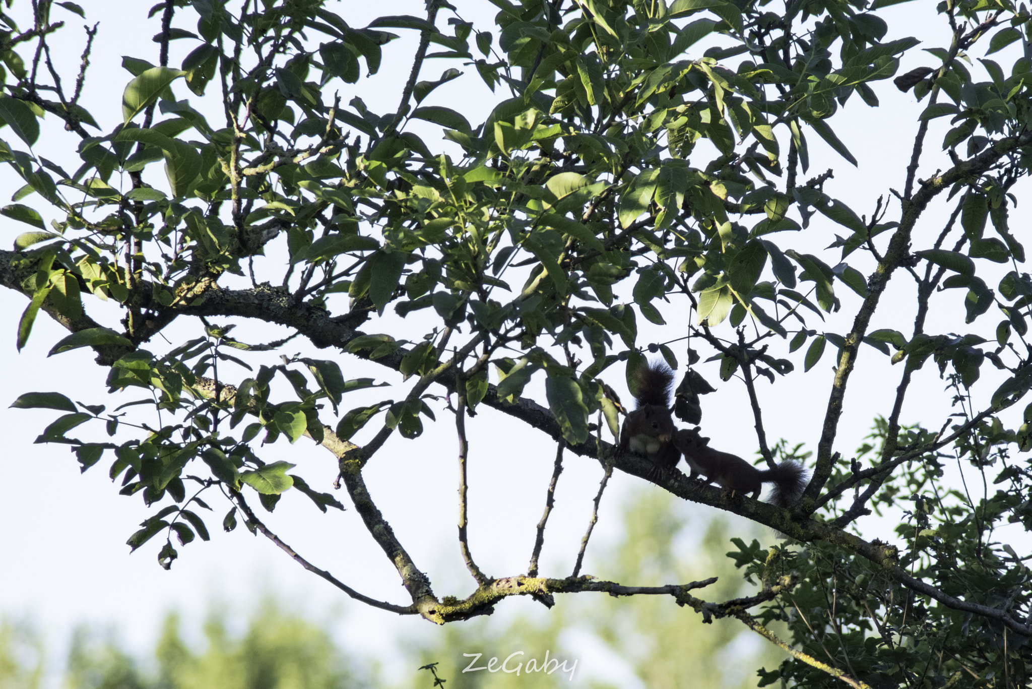 Tamron AF 70-300mm F4-5.6 Di LD Macro sample photo. Before school... photography