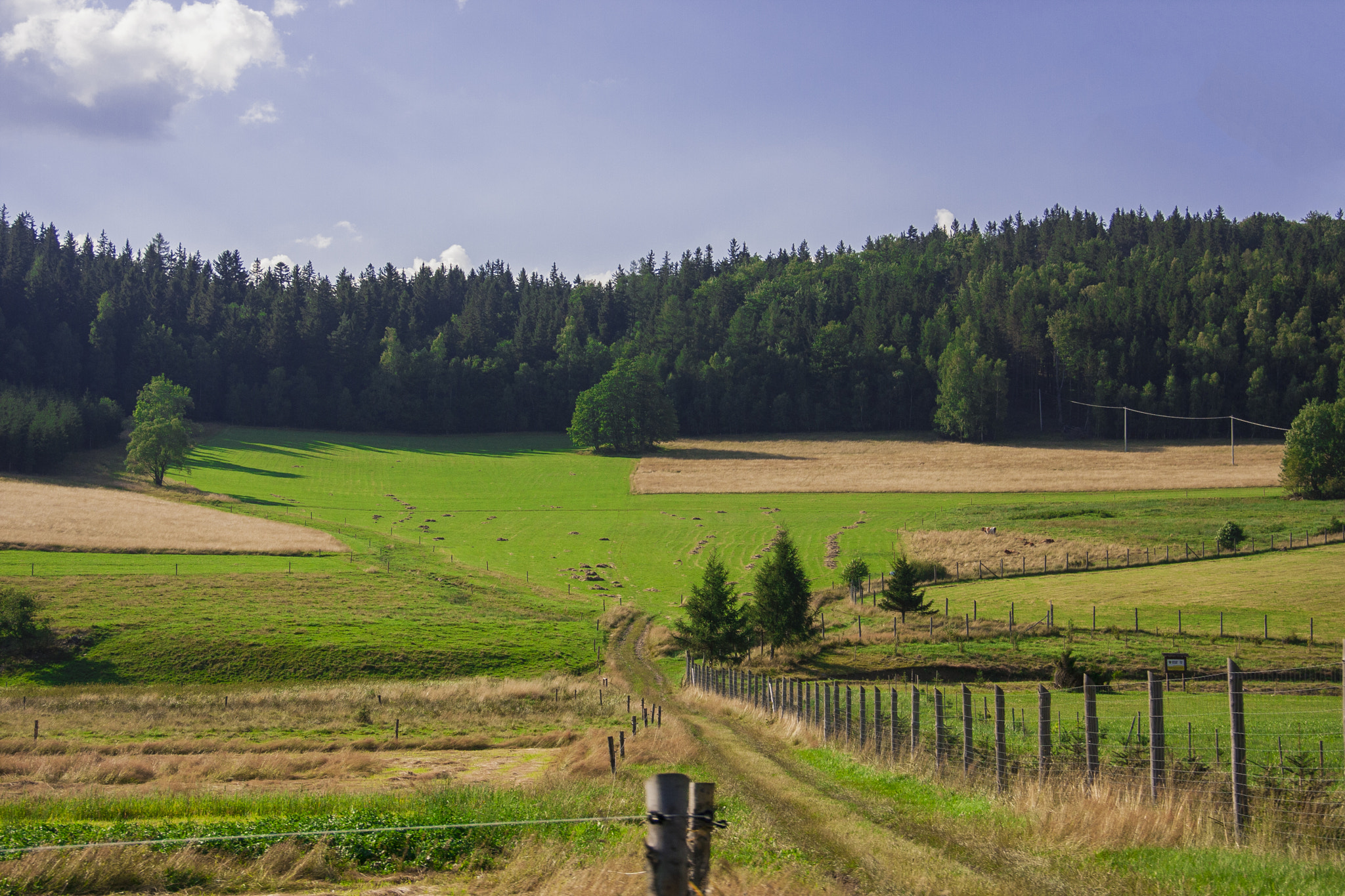 Canon EOS 40D sample photo. Poland photography