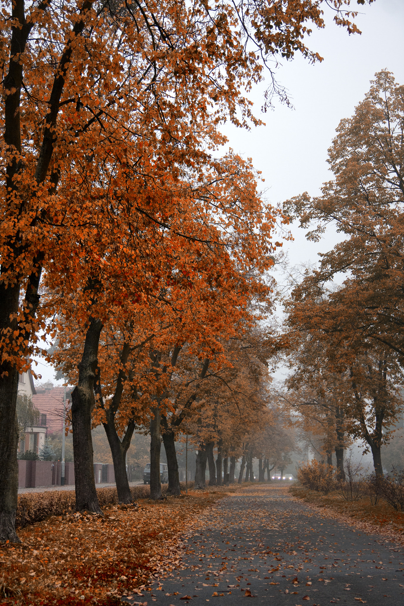 Canon EOS 40D sample photo. Wroclaw photography