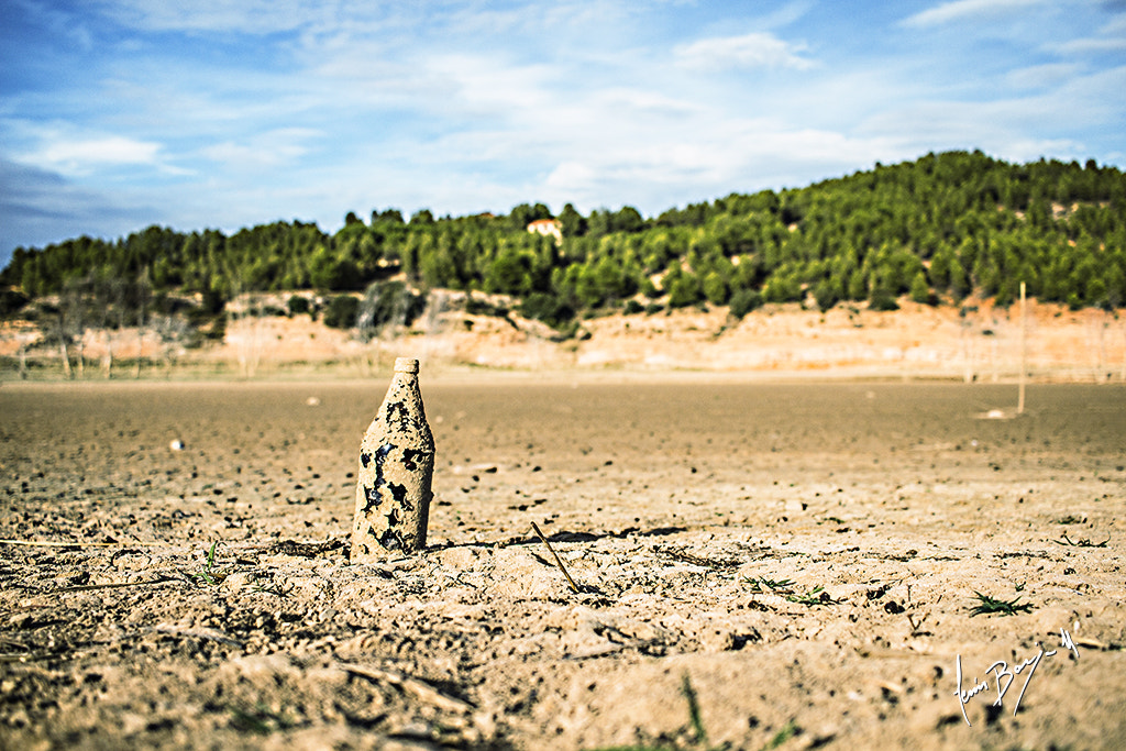 Canon EF-S 24mm F2.8 STM sample photo. Alarcon photography