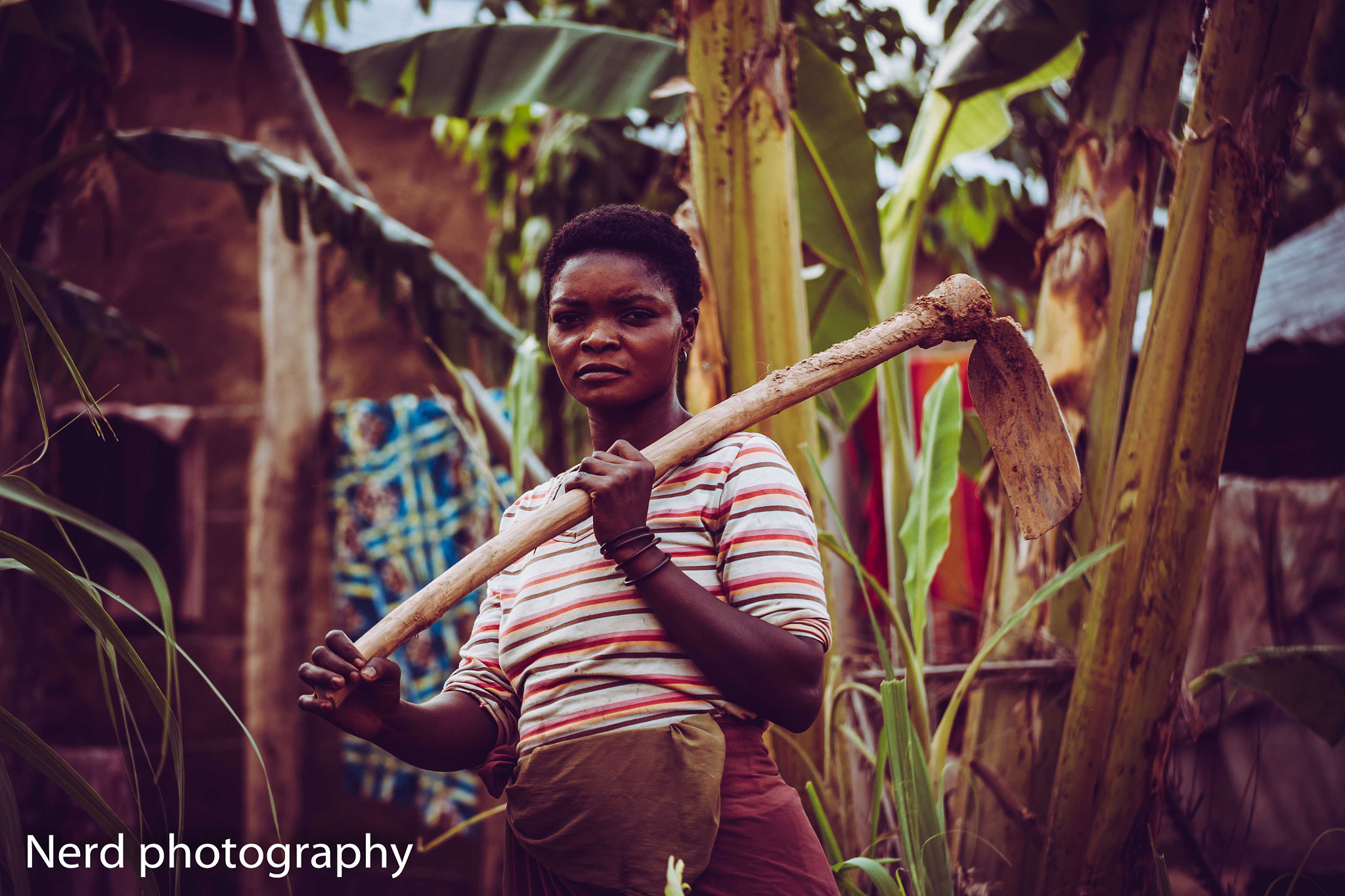 Canon EOS 5D sample photo. Kingdom of the pigmies photography