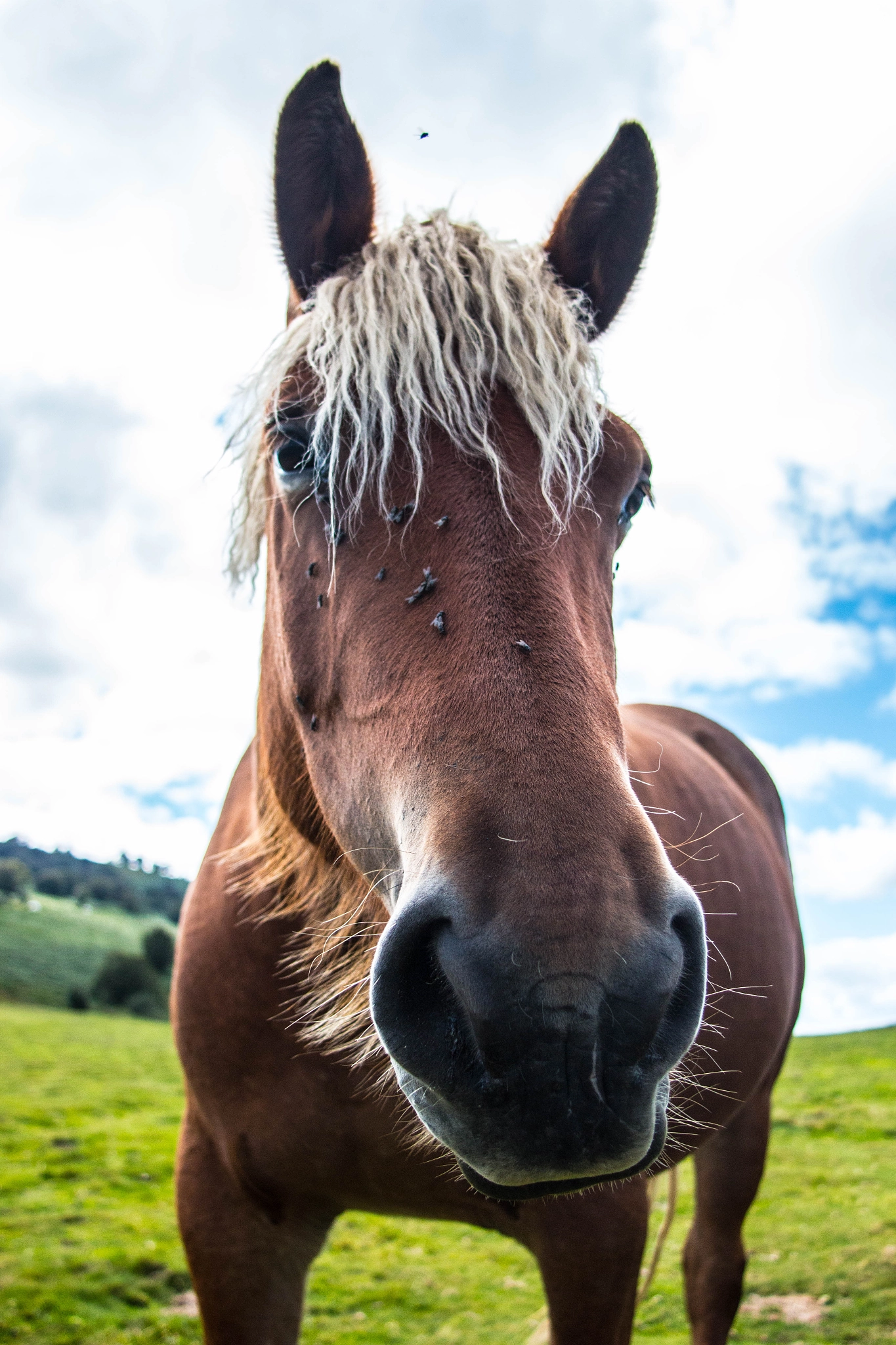 Canon EF 20-35mm F3.5-4.5 USM sample photo. Comtois photography