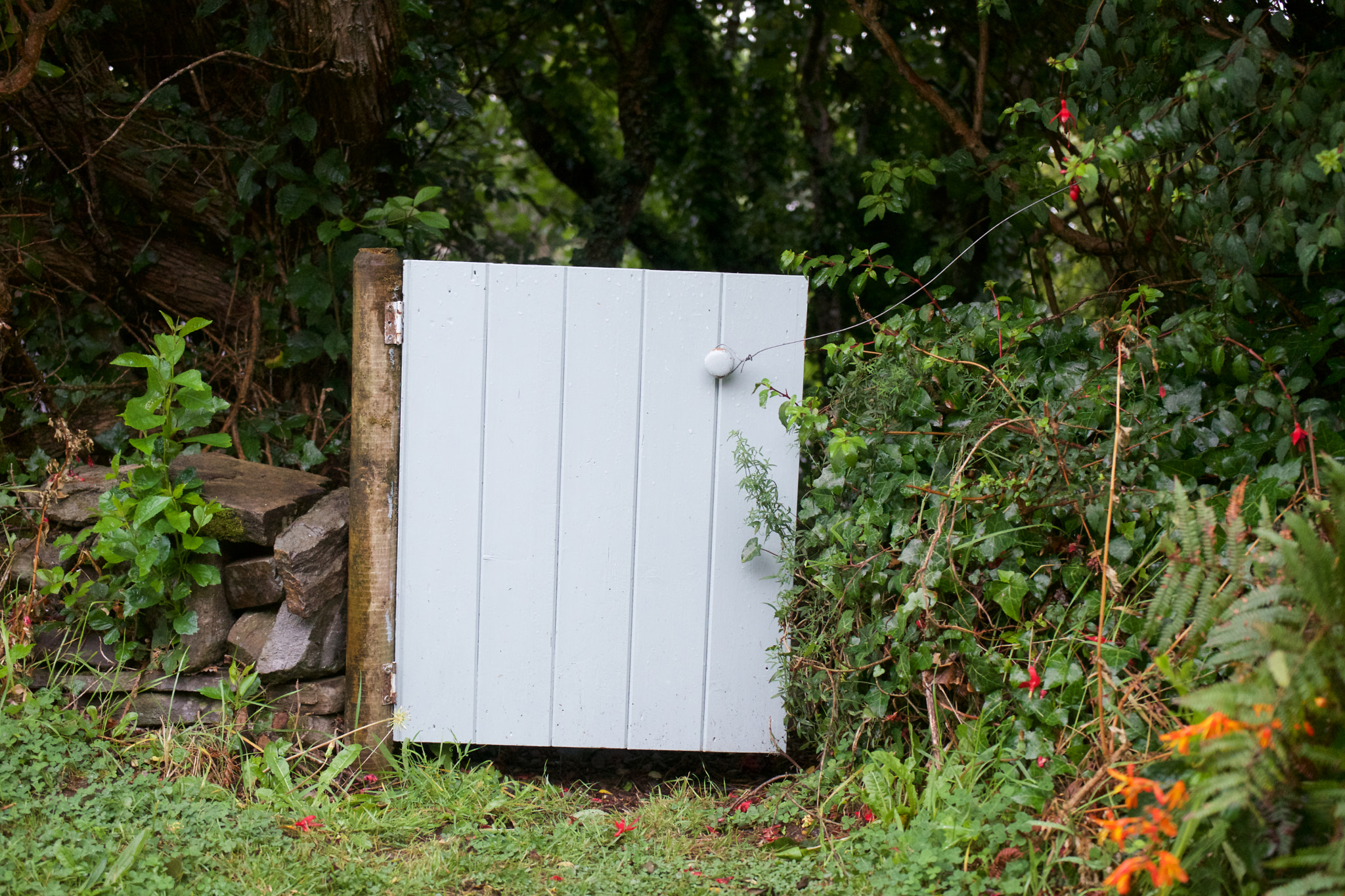 Tamron 18-200mm F3.5-6.3 Di III VC sample photo. Door to nowhere photography