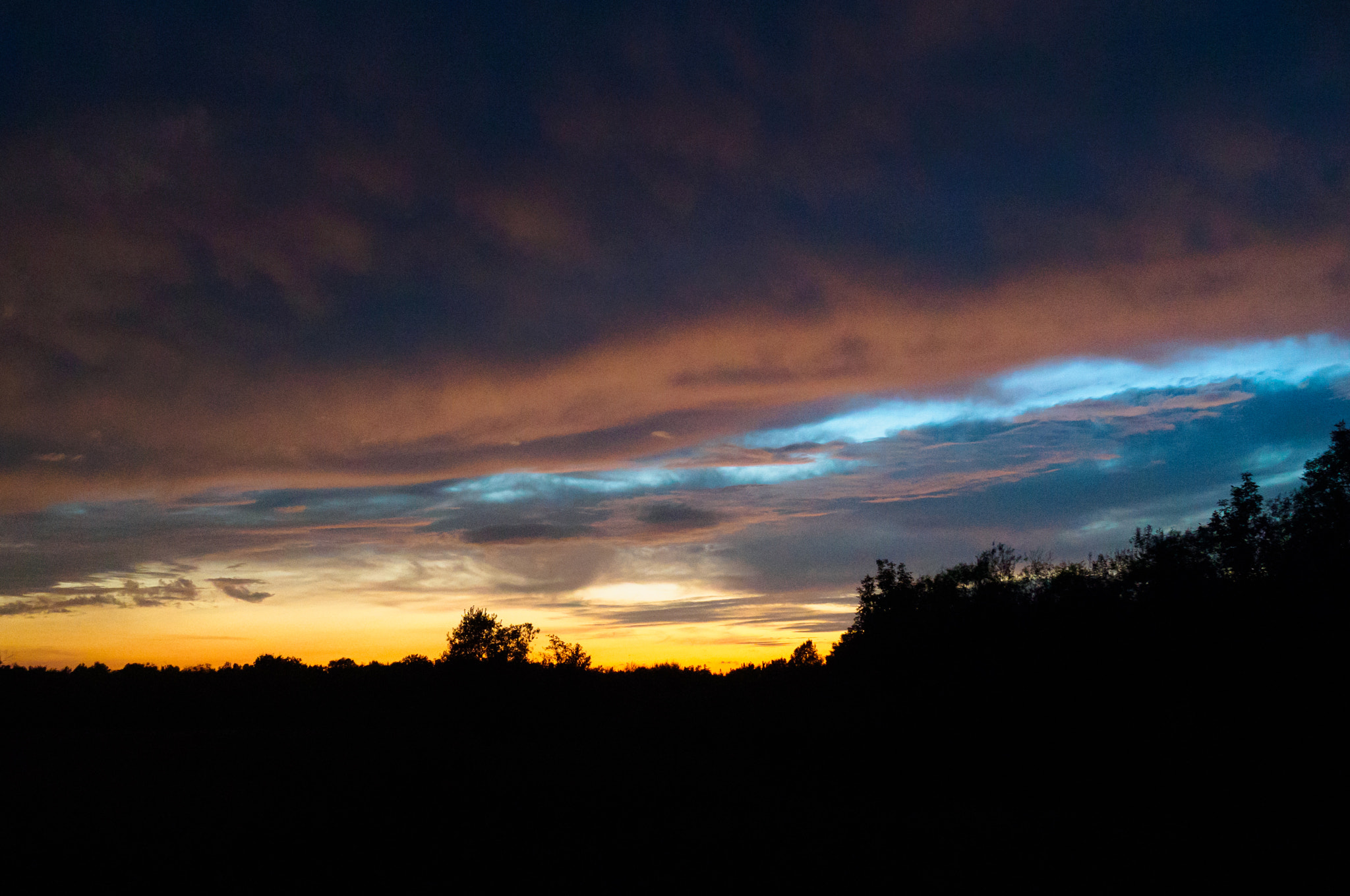 LUMIX G VARIO 14-42/F3.5-5.6 II sample photo. Simply magic of august photography