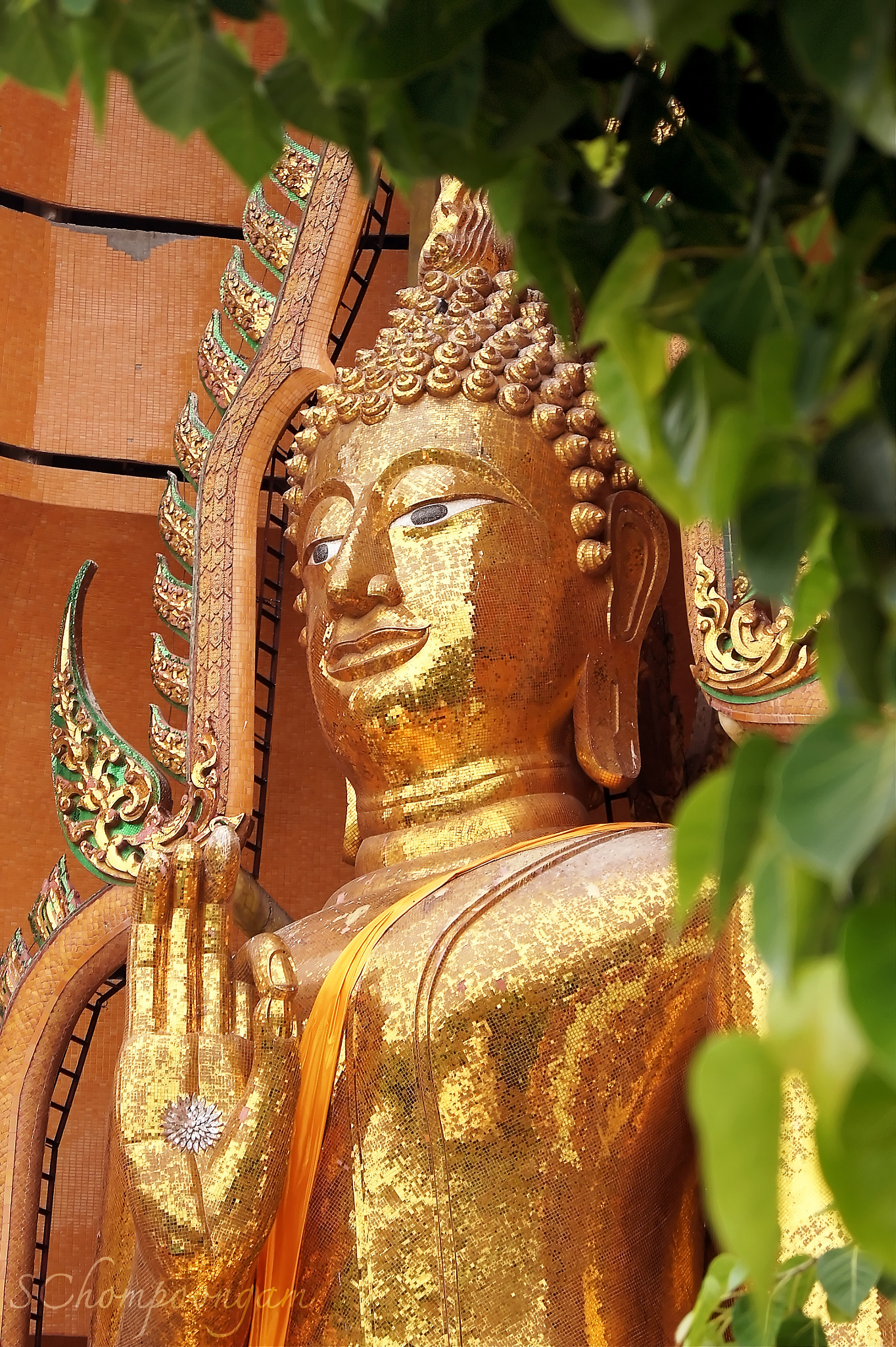 Sony SLT-A33 + Sony DT 18-55mm F3.5-5.6 SAM sample photo. Gold big buddha statue photography