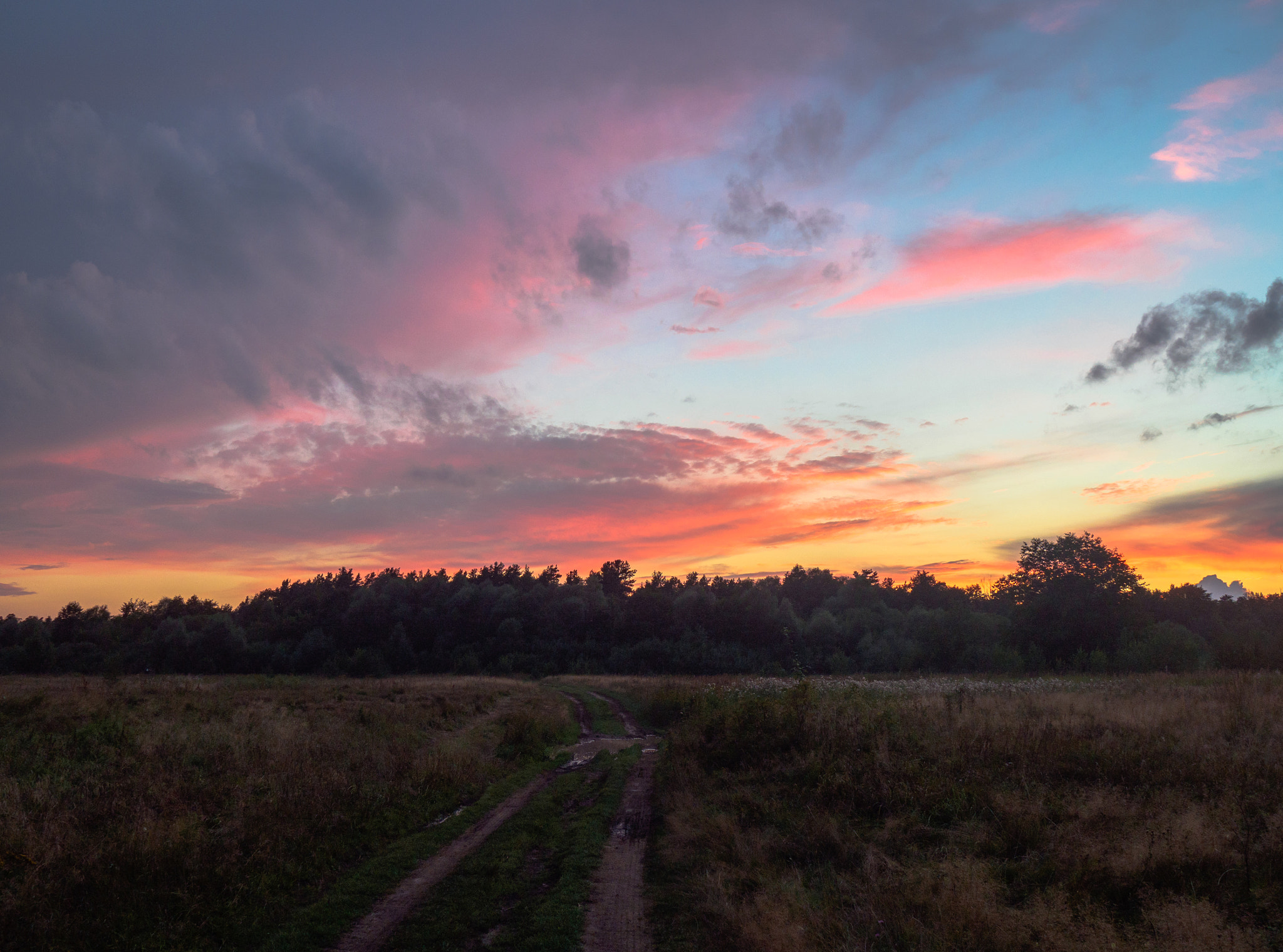 LUMIX G VARIO 14-42/F3.5-5.6 II sample photo. Summer sky photography
