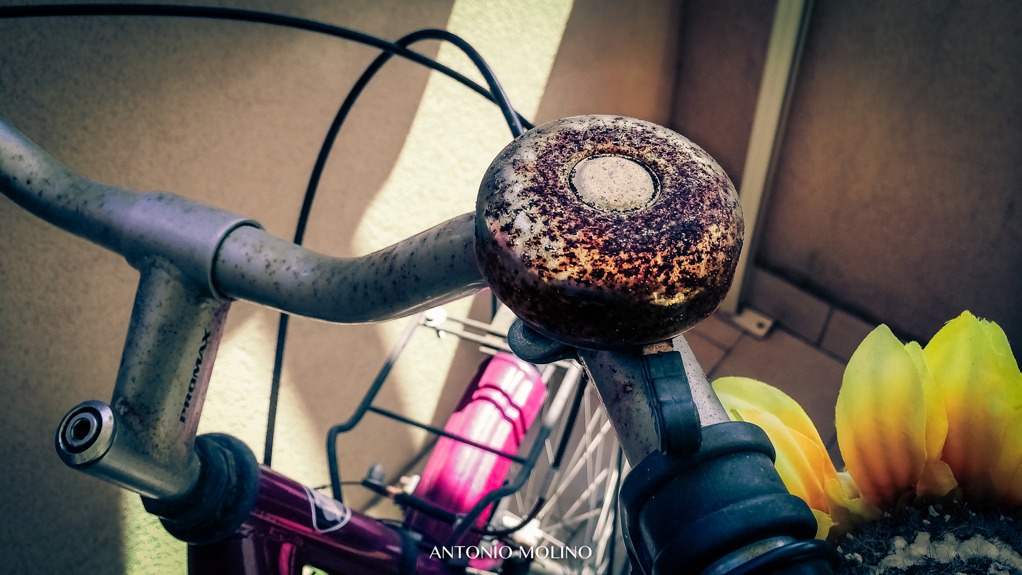 Jag.gr 645 PRO Mk II for Apple iPhone 5s sample photo. Bici vintage photography