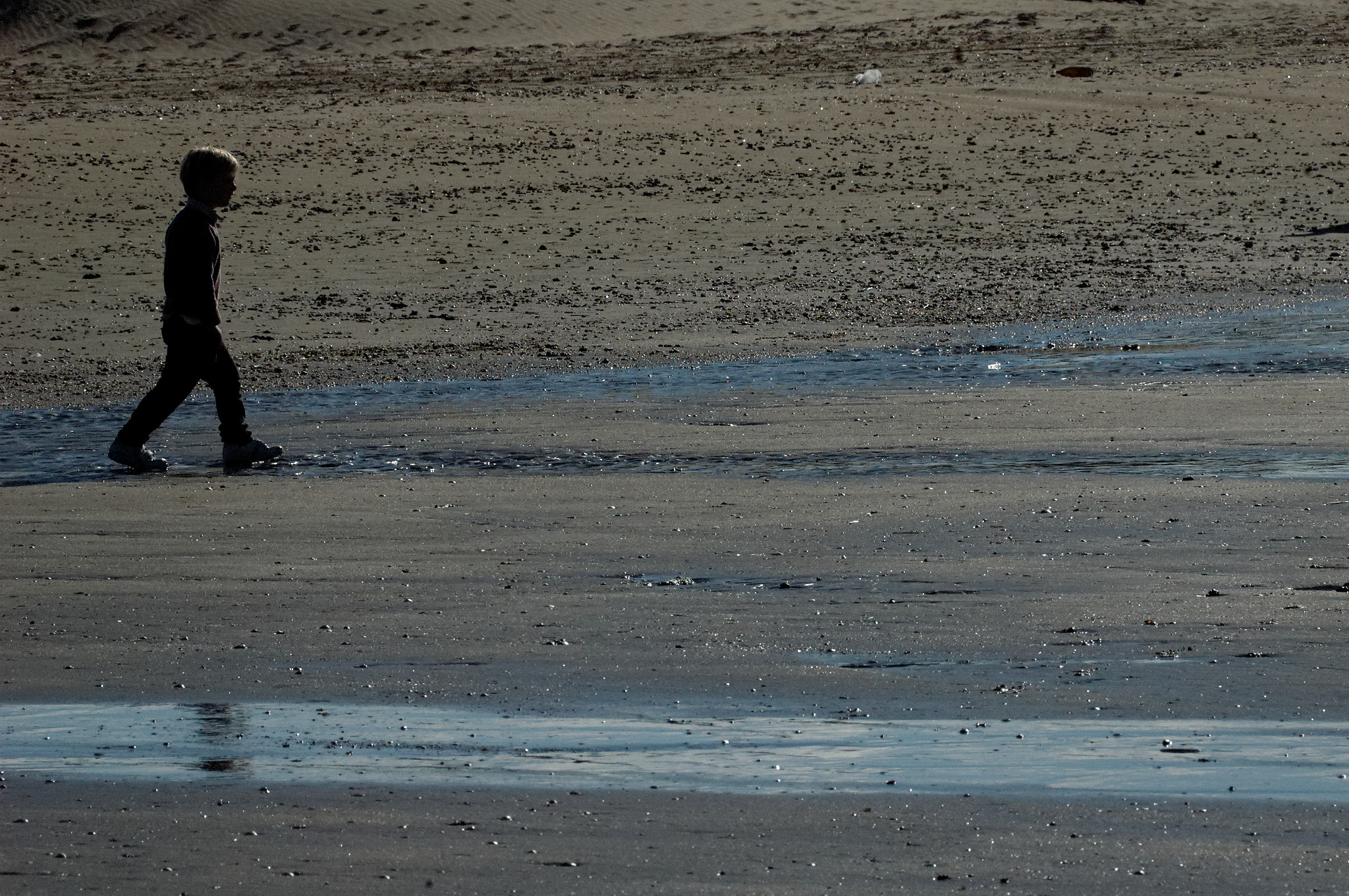 Nikon D70 sample photo. 14169353231.jpg photography