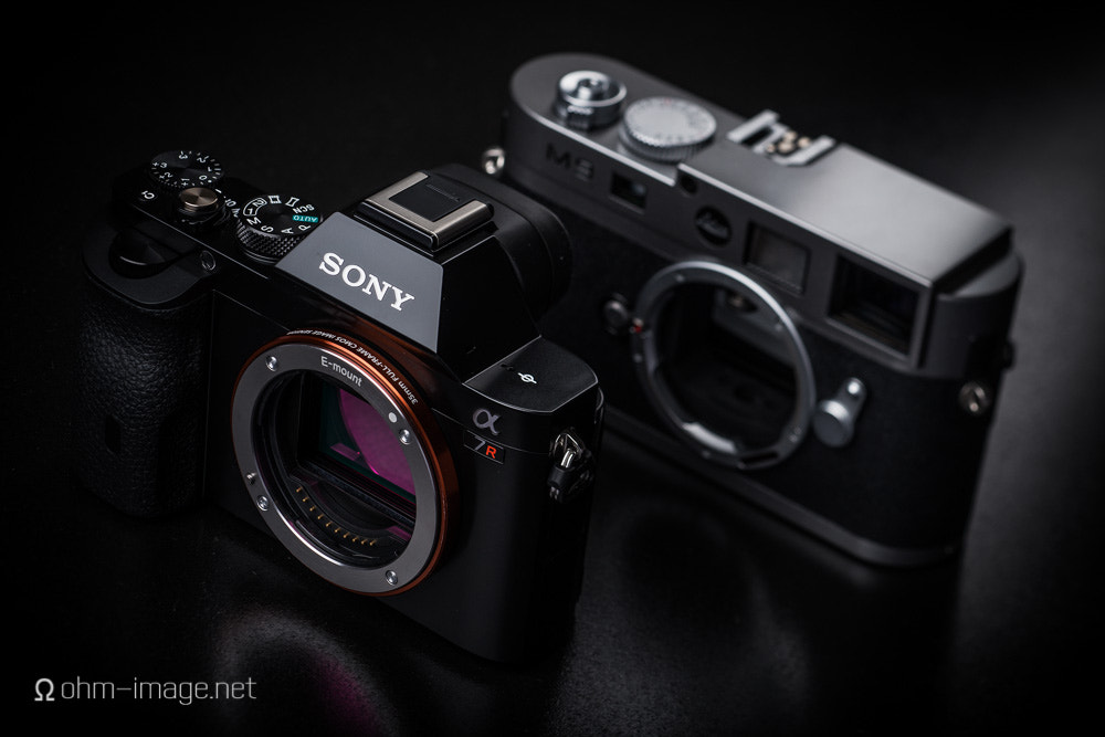 Nikon D800 sample photo. Sony ar novoflex nikon photography