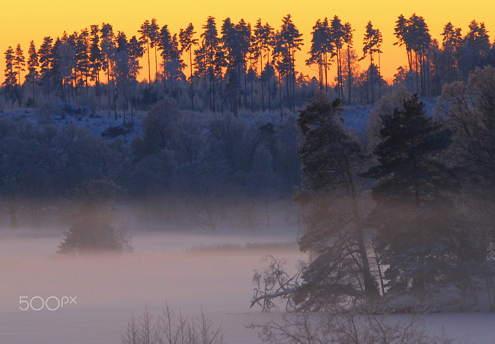 Canon EF 300mm F2.8L IS USM sample photo. The lake in fog photography