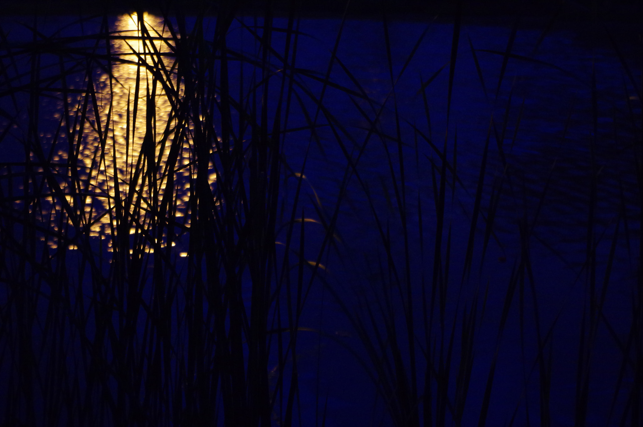 Pentax smc DA 18-55mm F3.5-5.6 AL WR sample photo. View of night photography