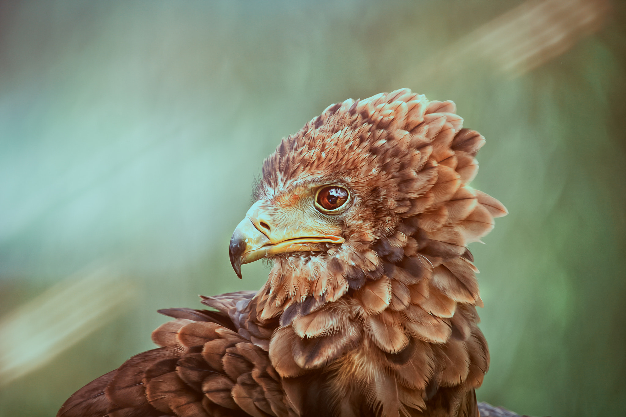 Sigma 50-500mm f/4-6.3 APO HSM EX sample photo. Hunter photography
