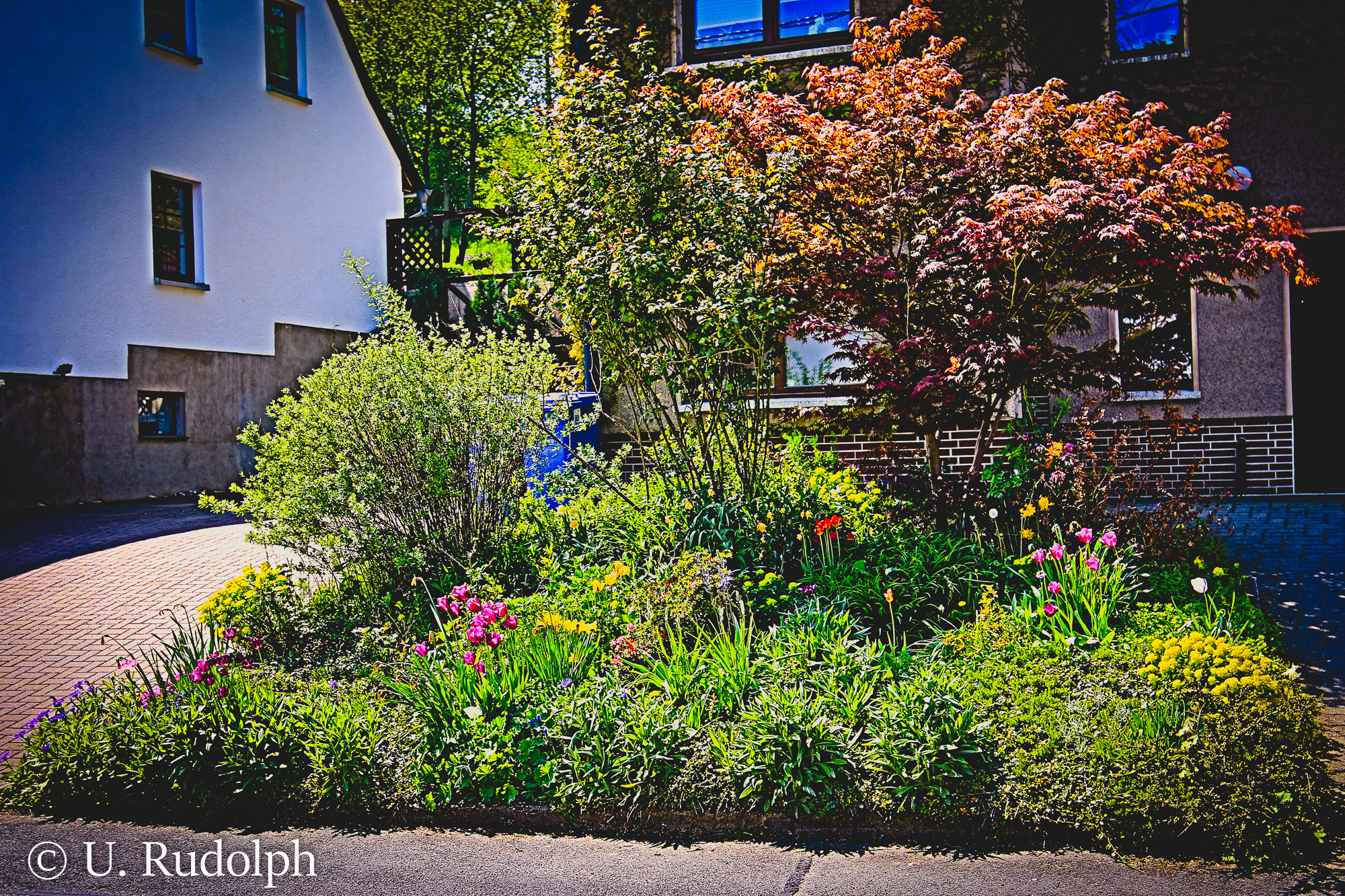 Canon EF 300mm f/2.8L sample photo. Impressionen aus glauchau photography