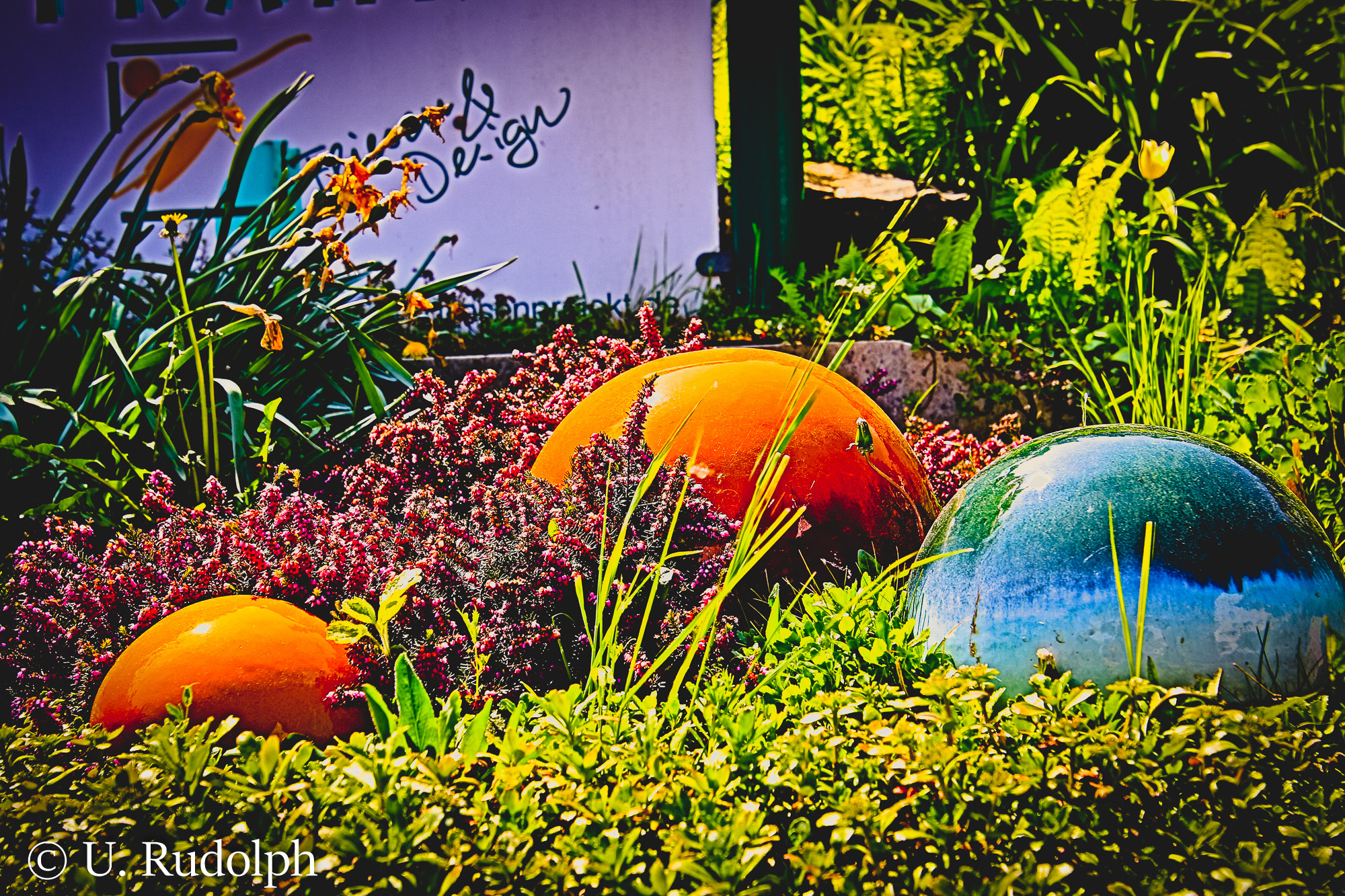 Canon EF 300mm f/2.8L sample photo. Impressionen aus glauchau photography