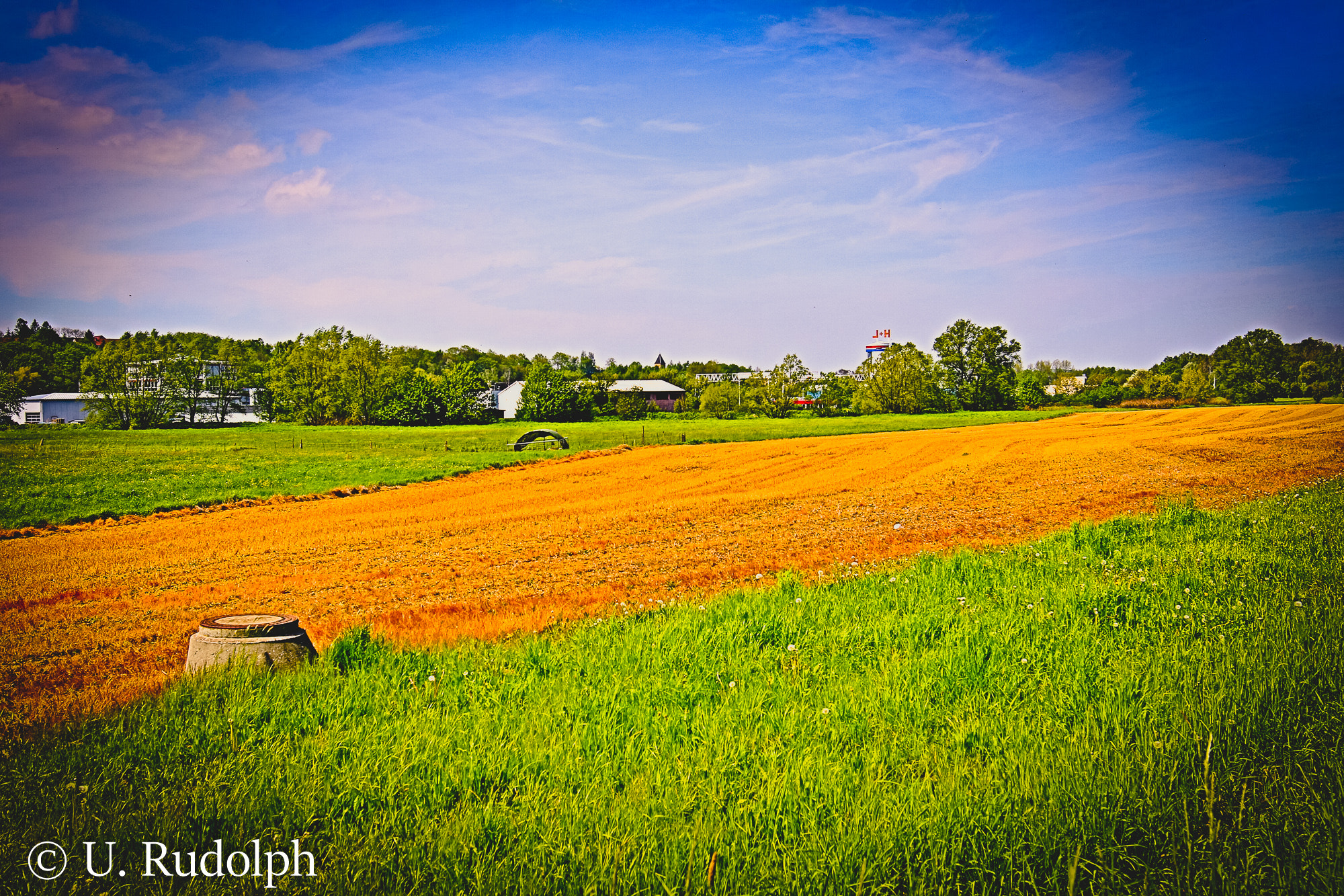 Canon EF 300mm f/2.8L sample photo. Impressionen aus glauchau photography