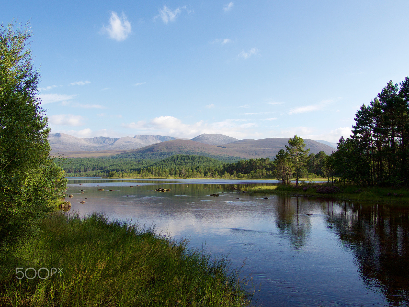 Olympus OM-D E-M10 sample photo. Loch morlich photography