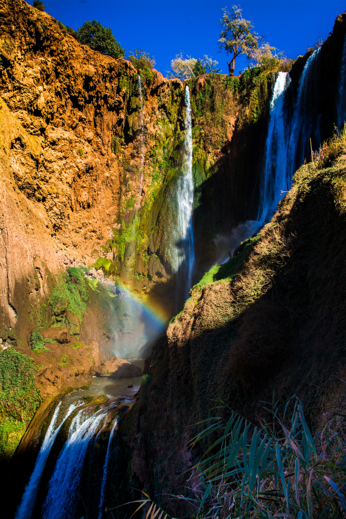 Nikon D7100 + Sigma 18-200mm F3.5-6.3 DC sample photo. Rainbow photography