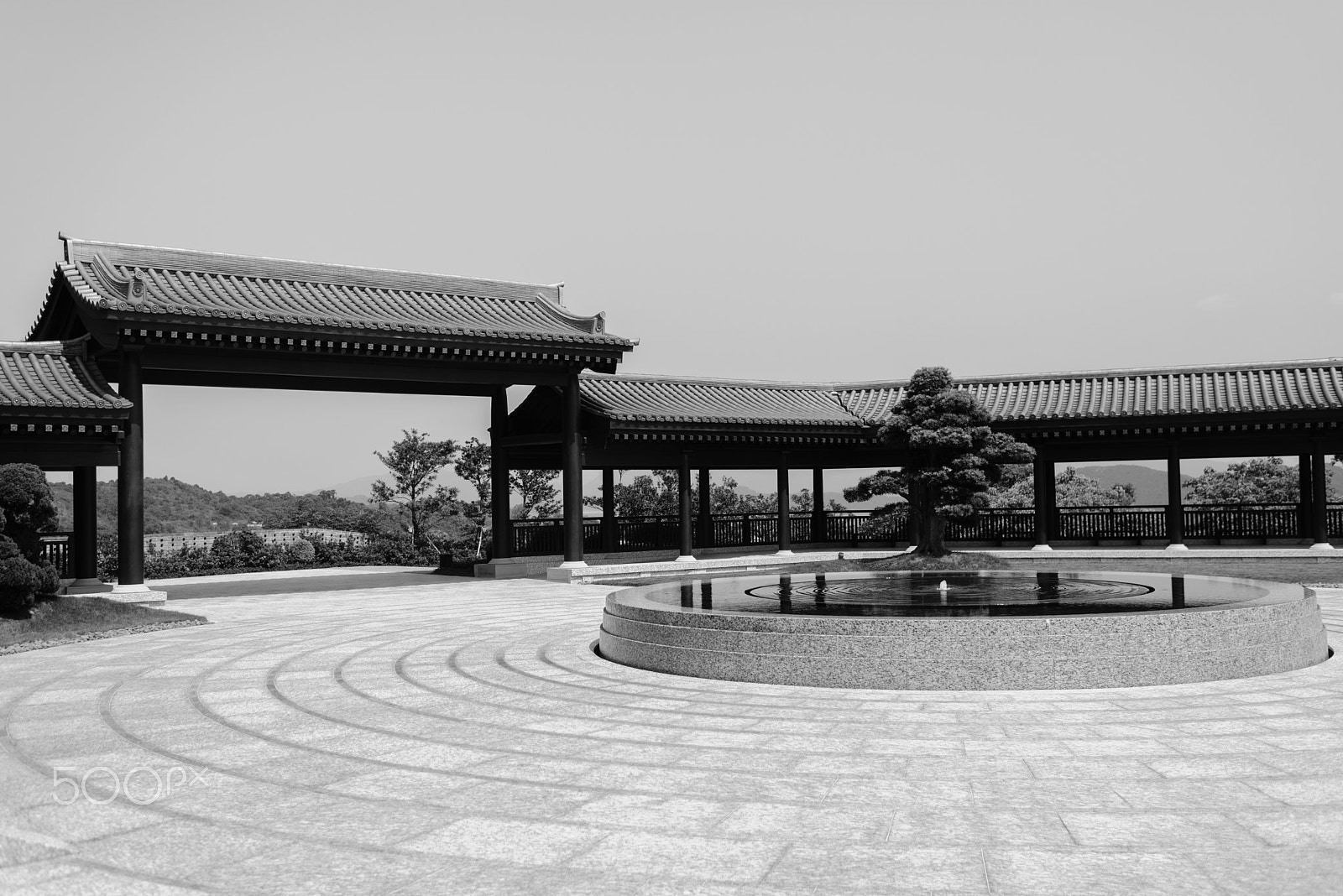 Nikon D610 + Nikon AF-S Nikkor 35mm F1.4G sample photo. Tsz shan monastery photography