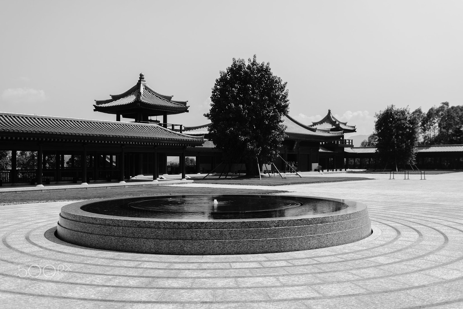 Nikon D610 sample photo. Tsz shan monastery photography