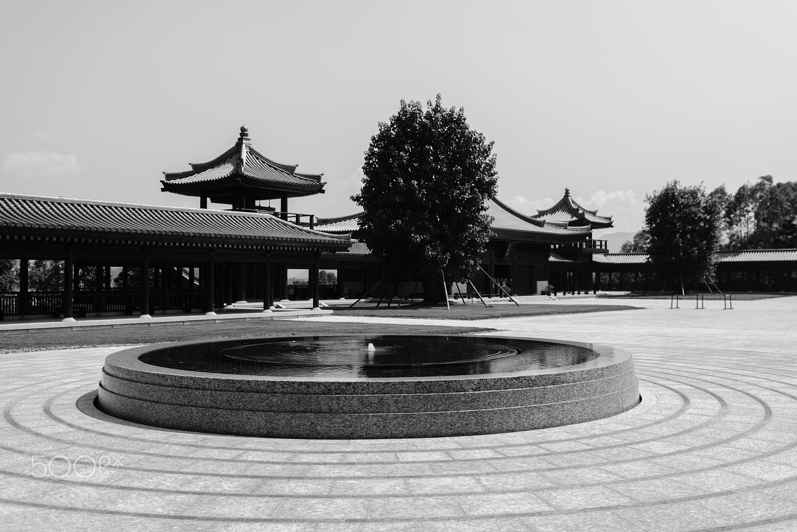 Nikon D610 + Nikon AF-S Nikkor 35mm F1.4G sample photo. Tsz shan monastery photography