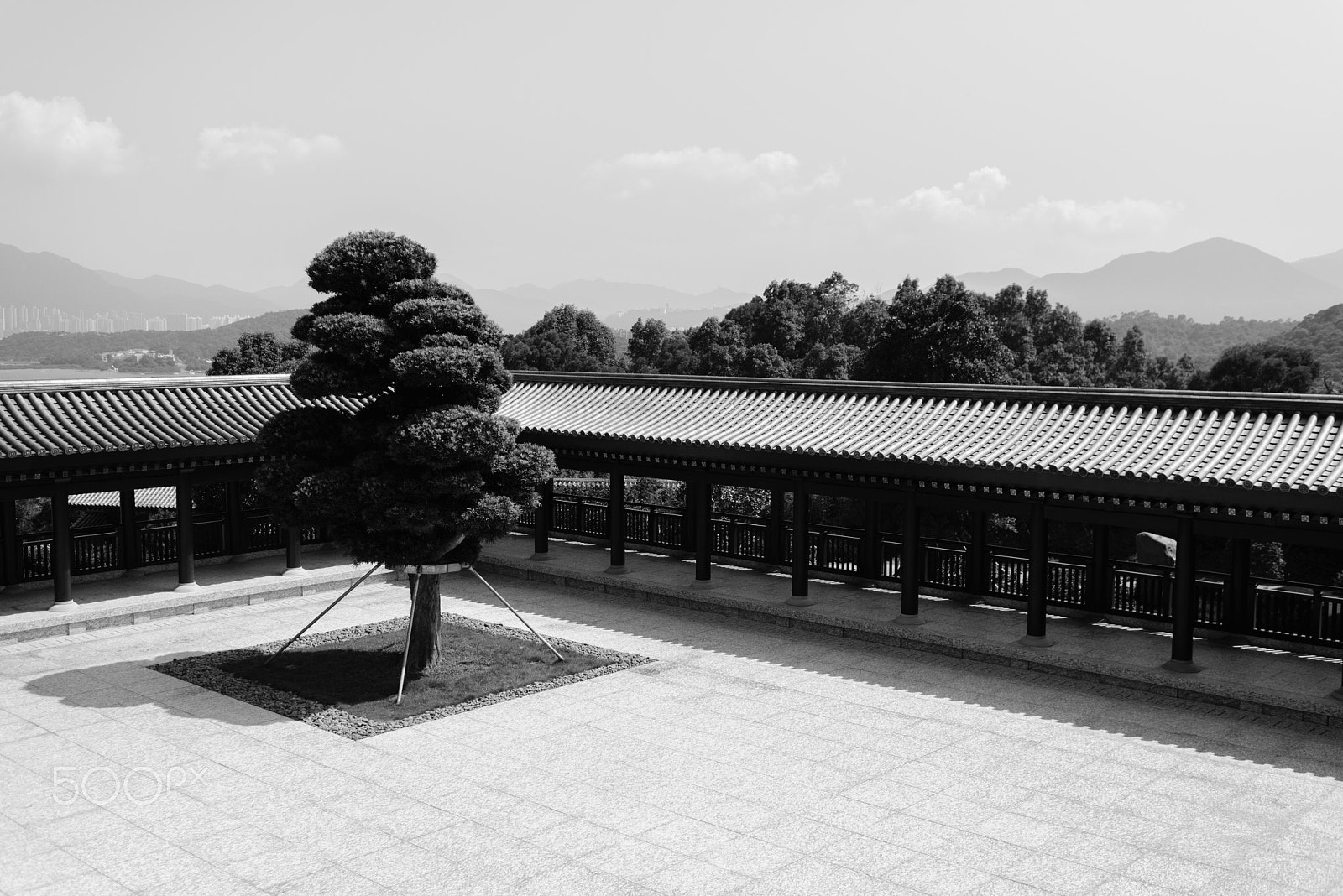 Nikon D610 + Nikon AF-S Nikkor 35mm F1.4G sample photo. Tsz shan monastery photography