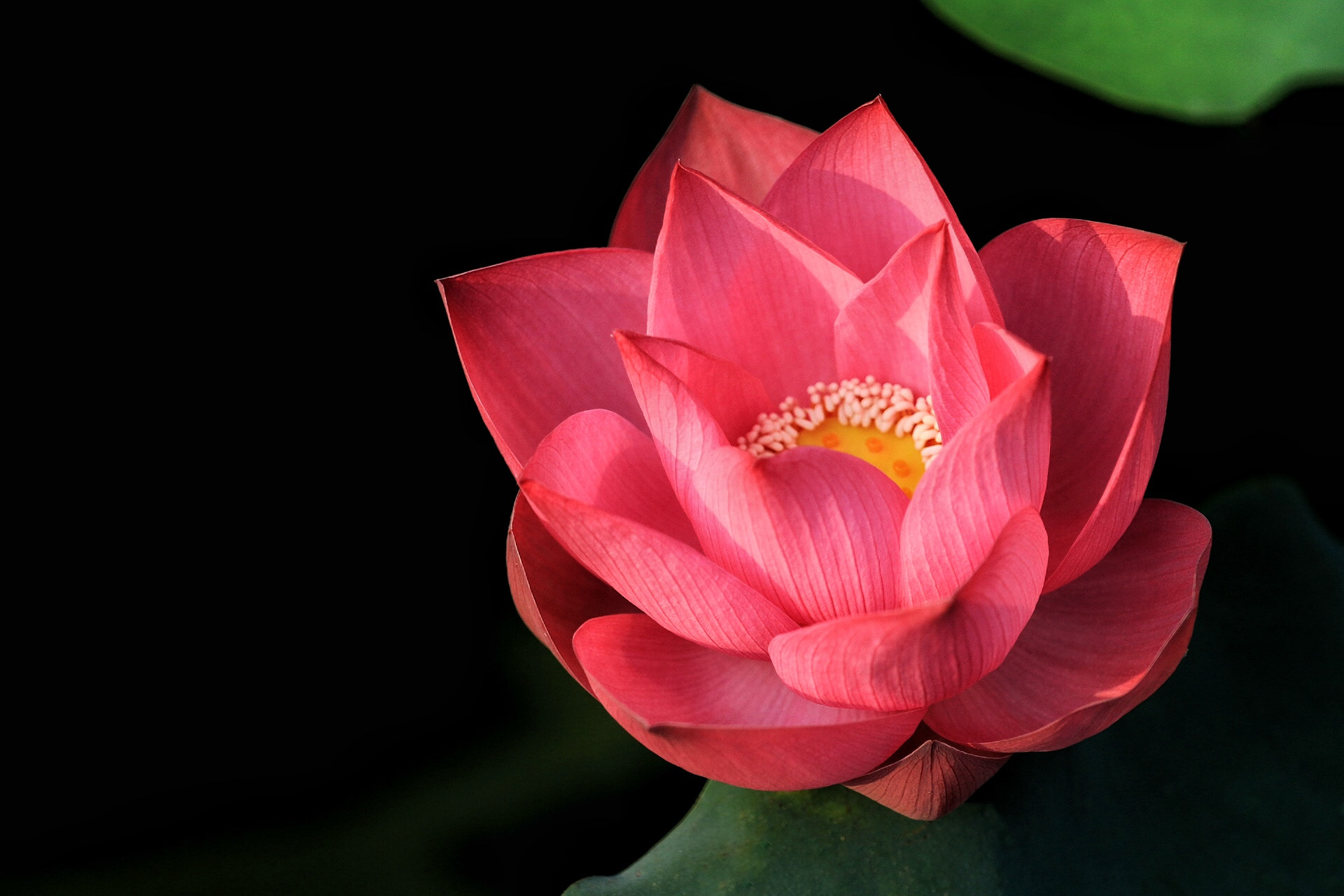 Canon EF 70-200mm F4L USM sample photo