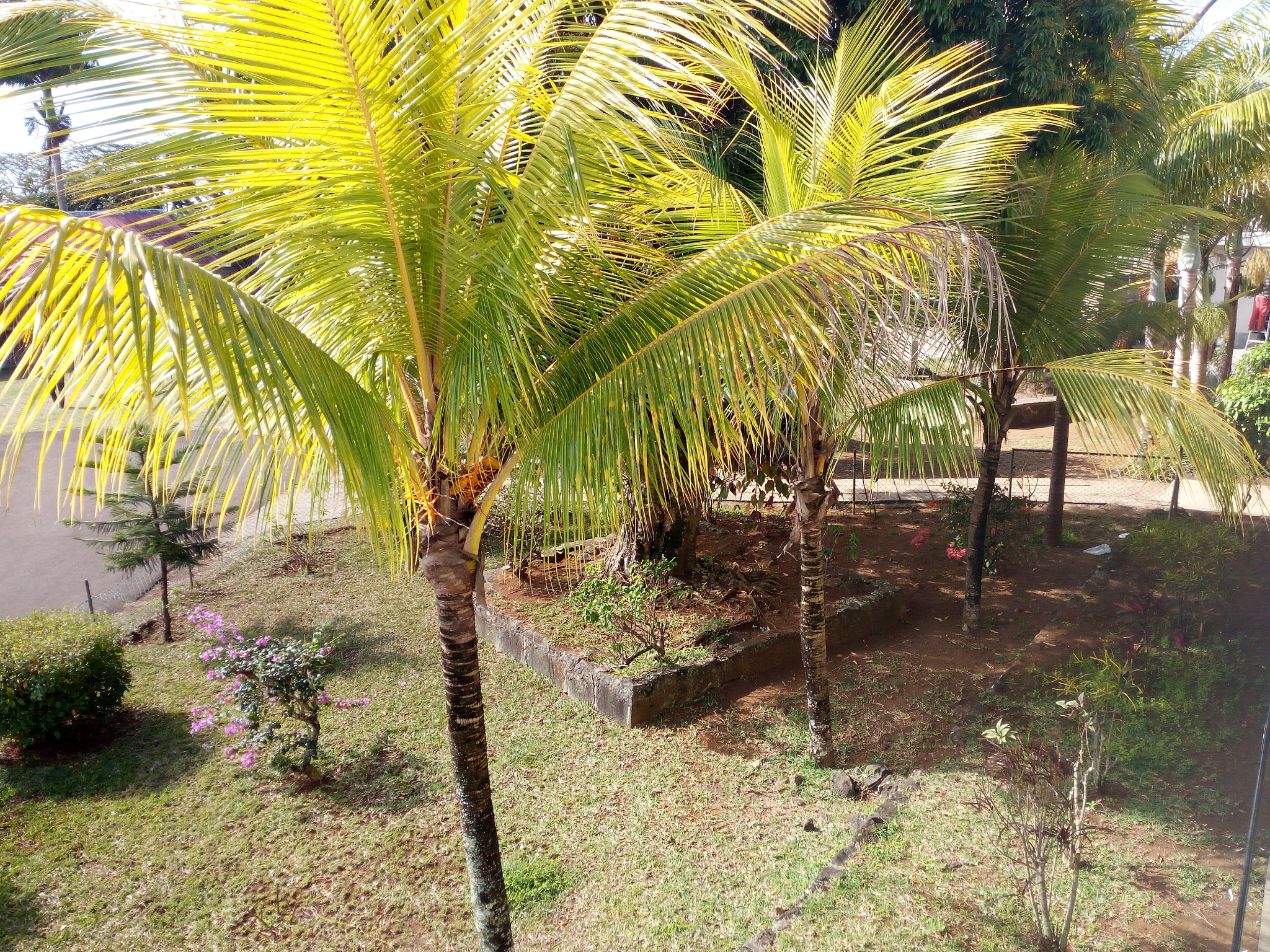 HUAWEI GR3 sample photo