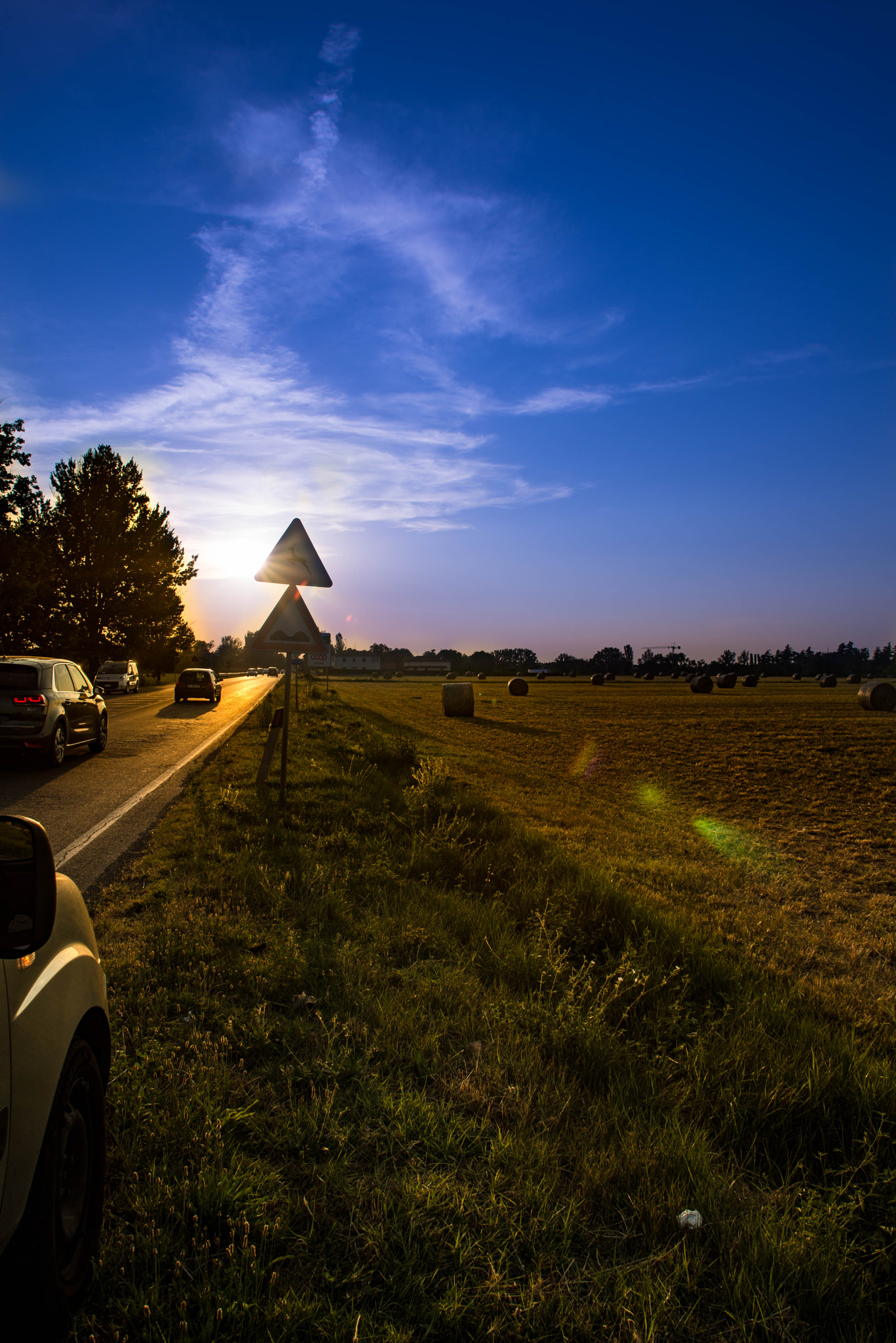 Nikon D600 + Sigma 24mm F1.8 EX DG Aspherical Macro sample photo. Blue sky photography