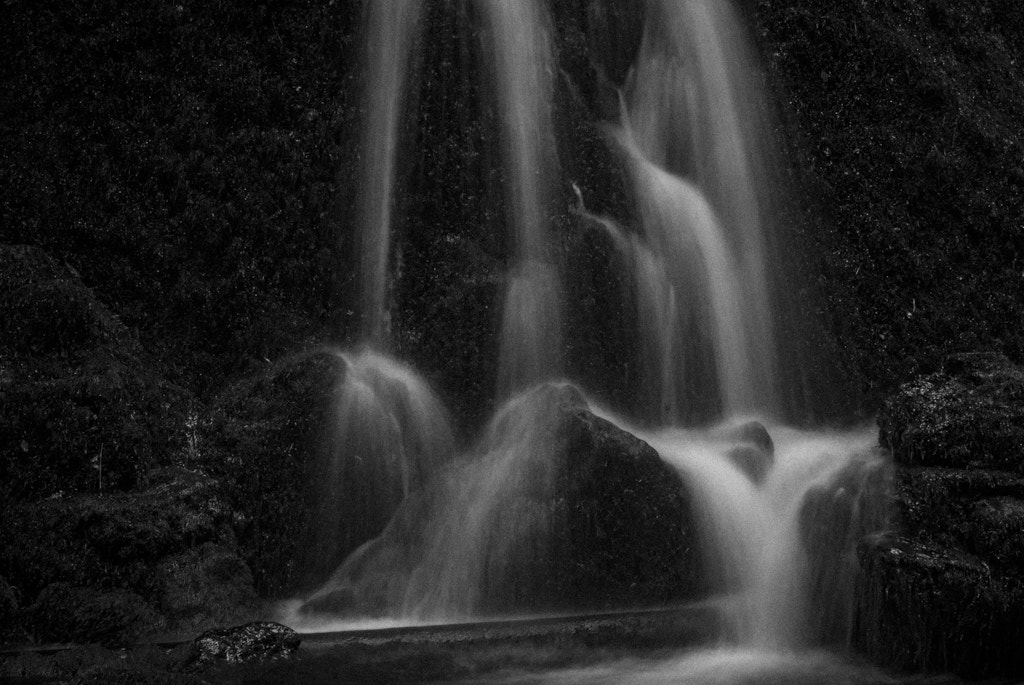 Nikon D200 + AF Zoom-Nikkor 35-70mm f/2.8D sample photo. Zen1 photography
