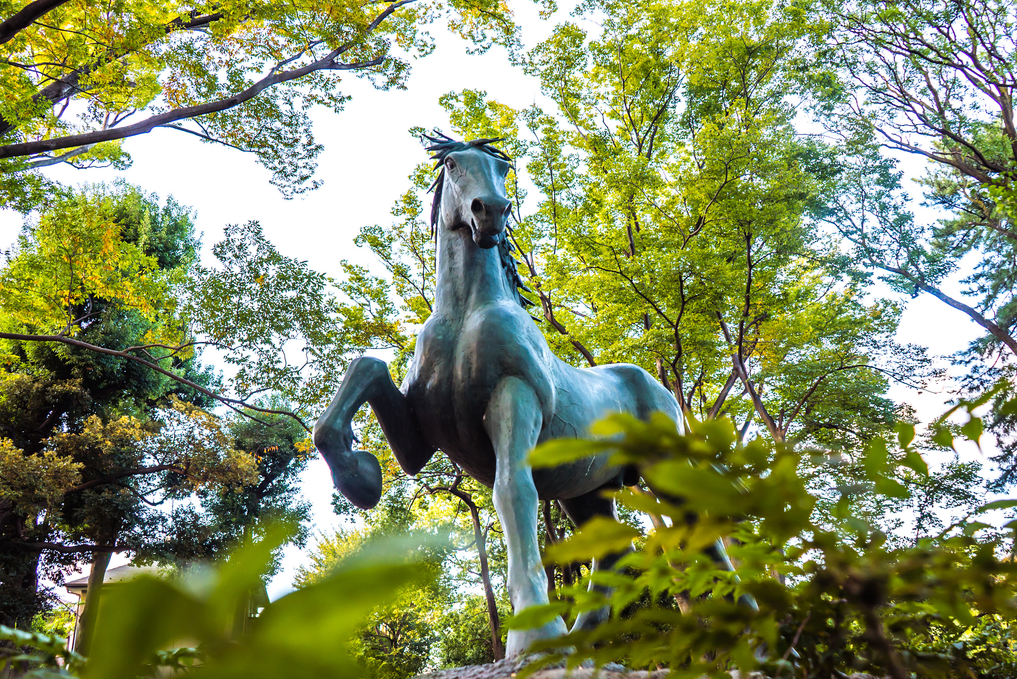 Sony a7S + Sony FE 28-70mm F3.5-5.6 OSS sample photo. The iron horse photography