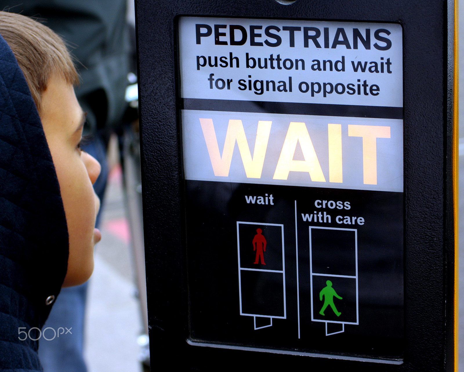 Canon EOS 1000D (EOS Digital Rebel XS / EOS Kiss F) sample photo. What to do? photography